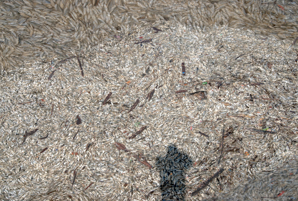 Black River, Lorain, Ohio