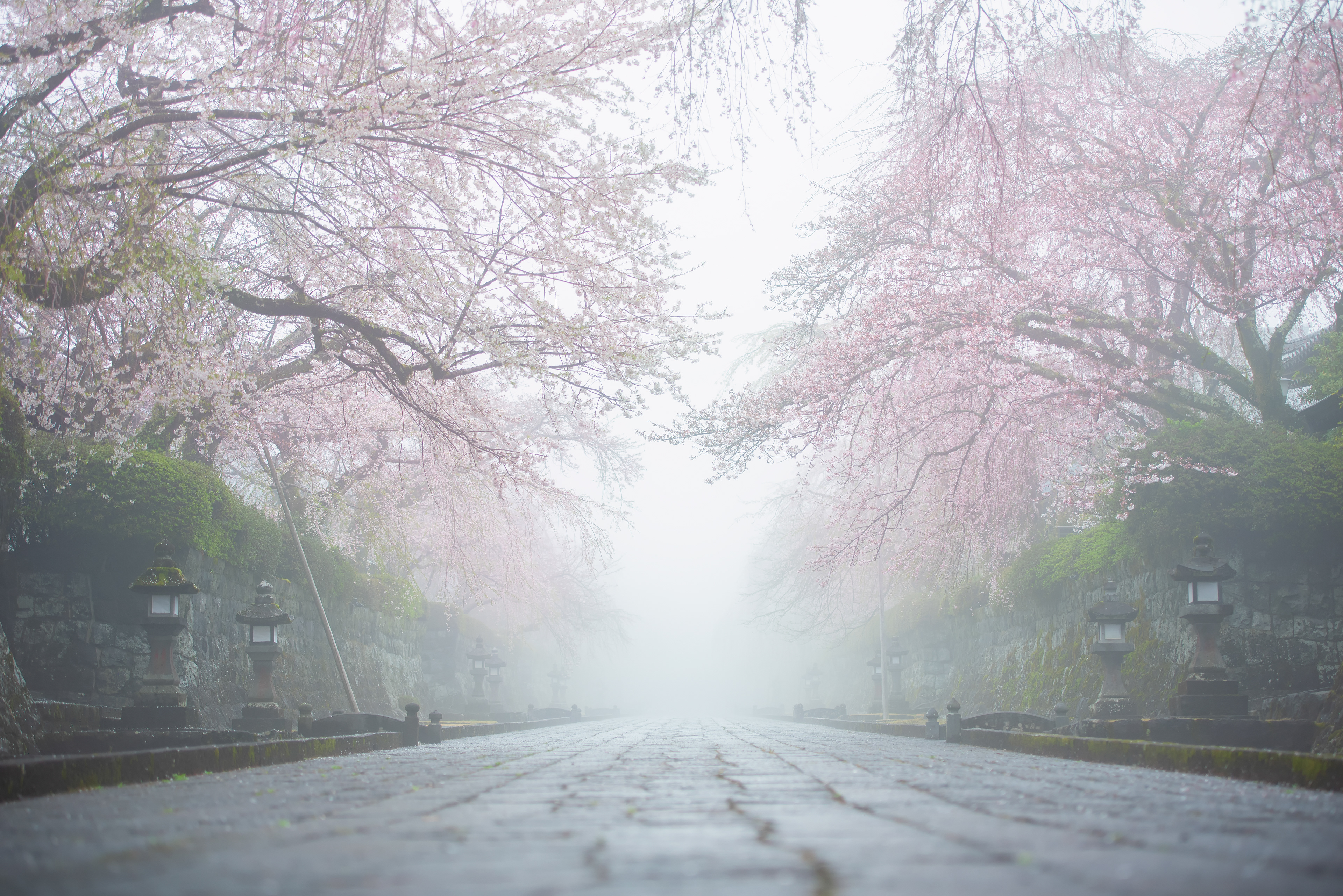 Location:Shizuoka,Japan