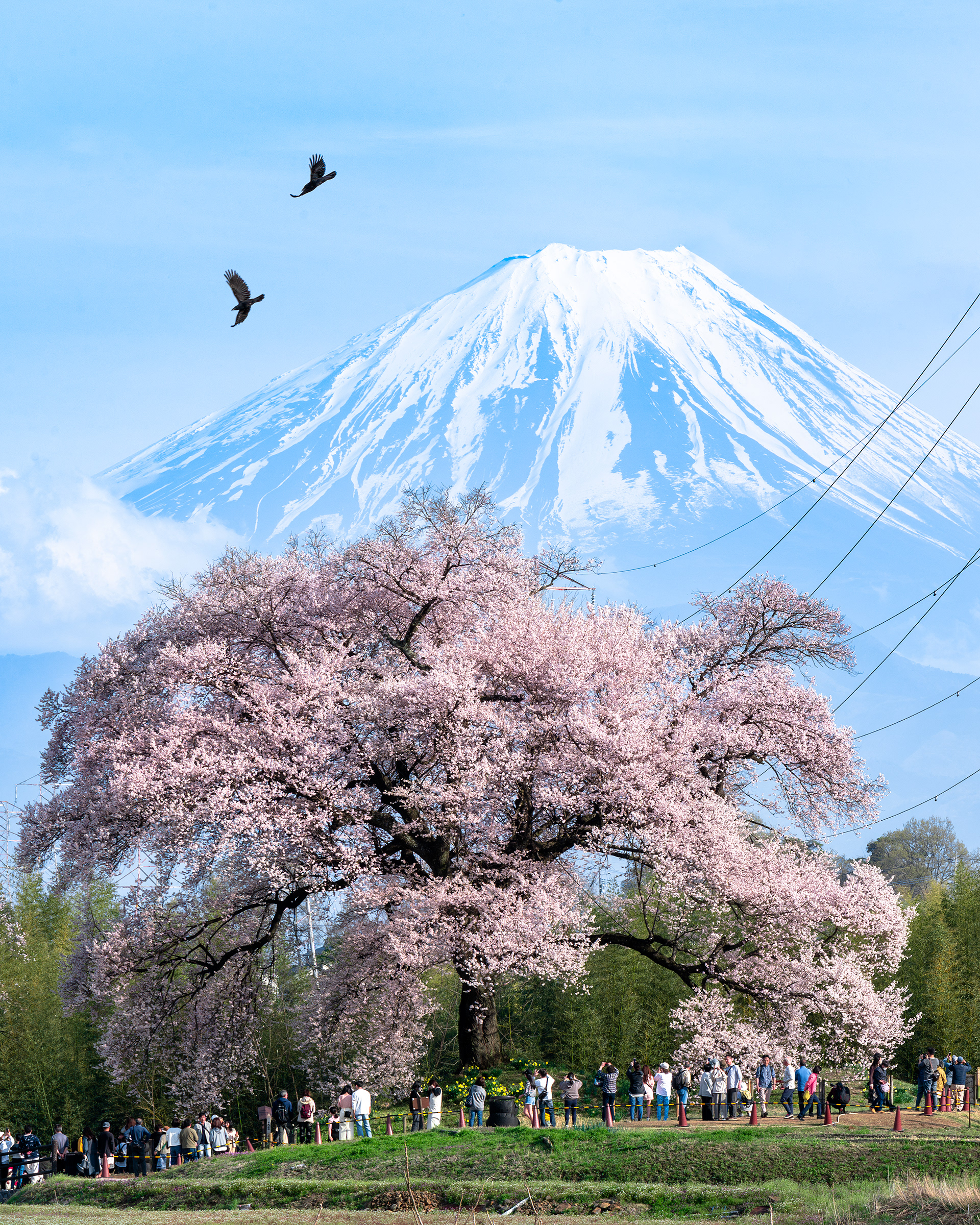 Location:Yamanashi,Japan