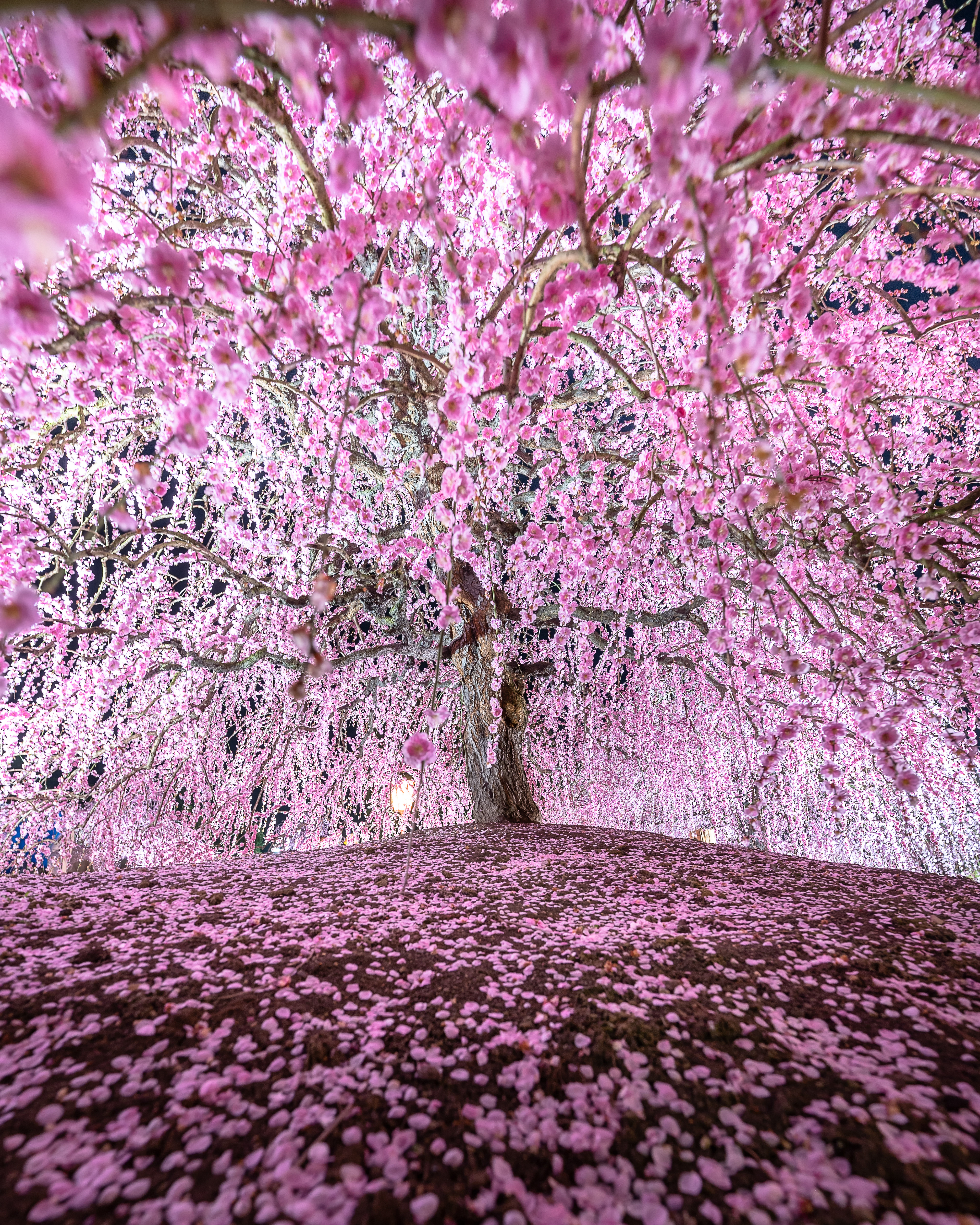 Location:Mie,Japan