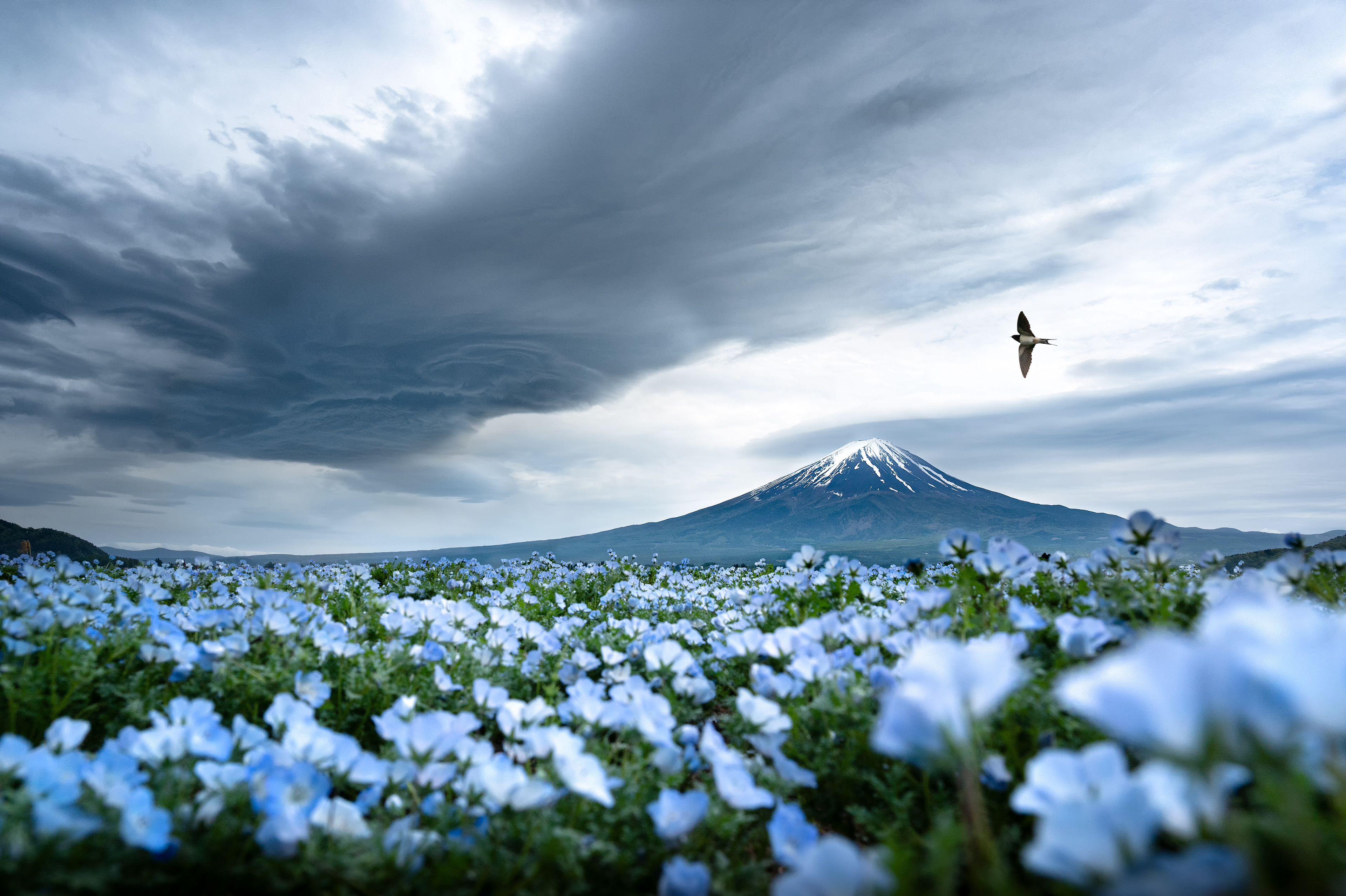 Location:Yamanashi,Japan