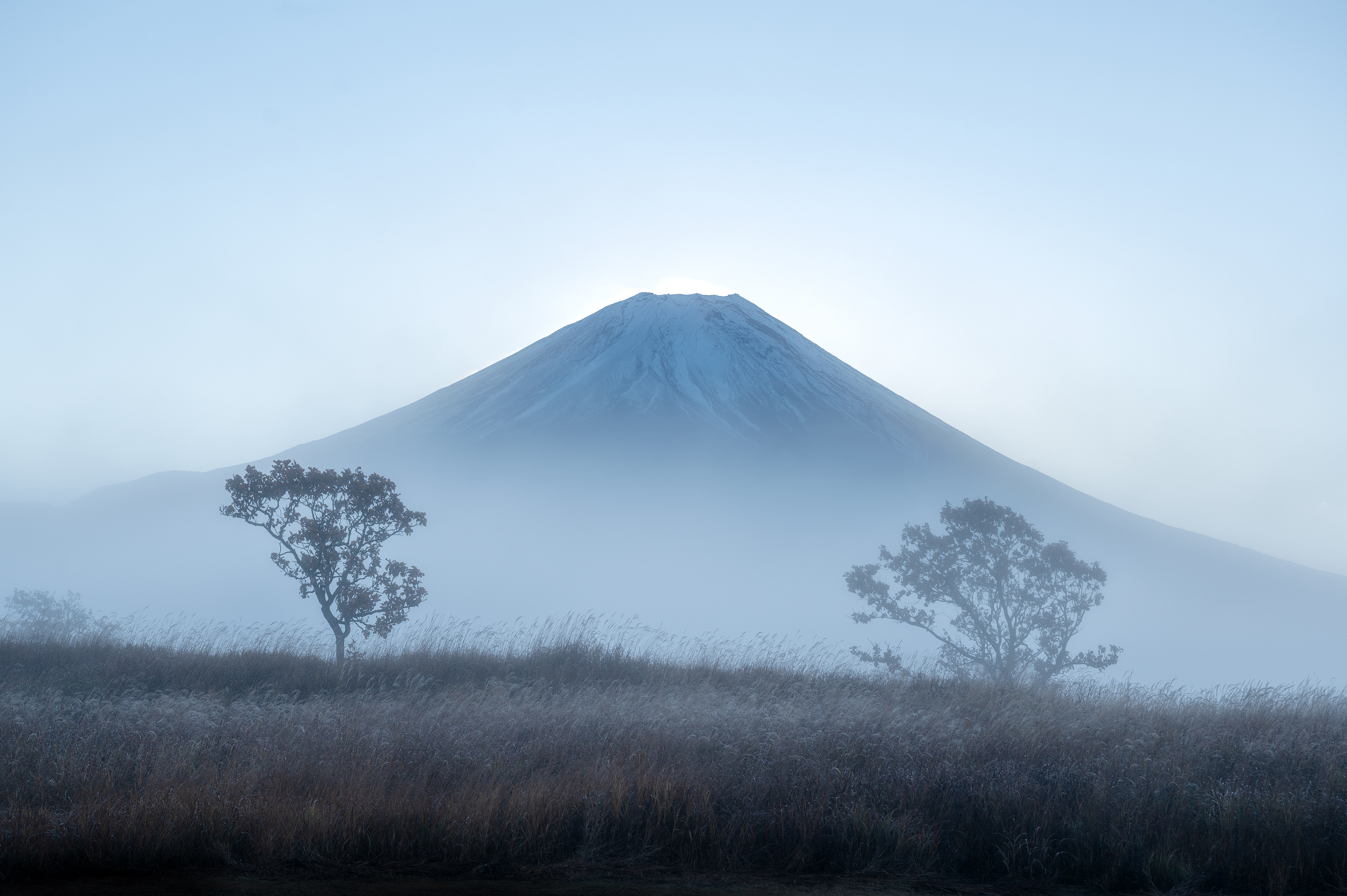 Location:Shizuoka,Japan