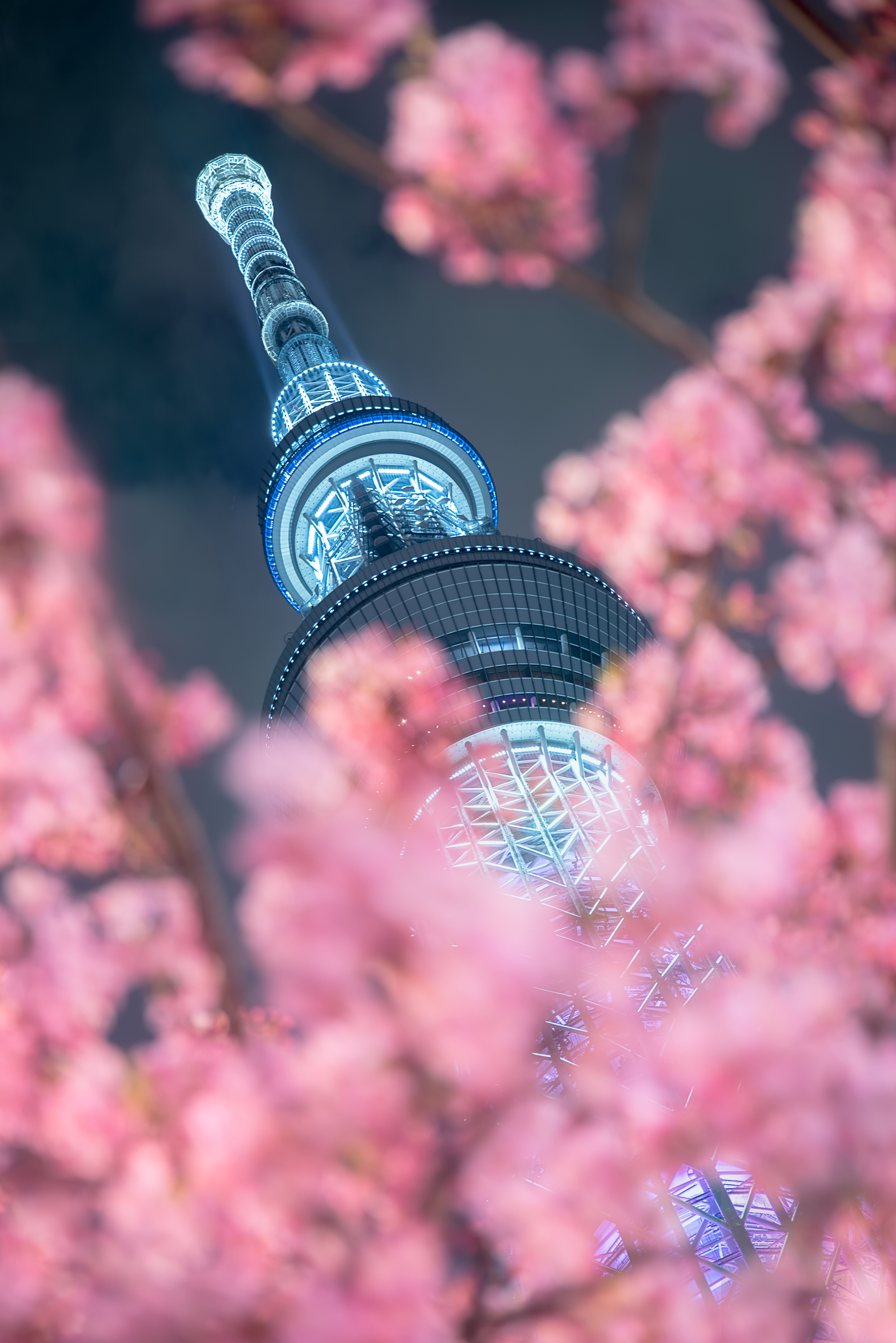 Location:Tokyo,Japan