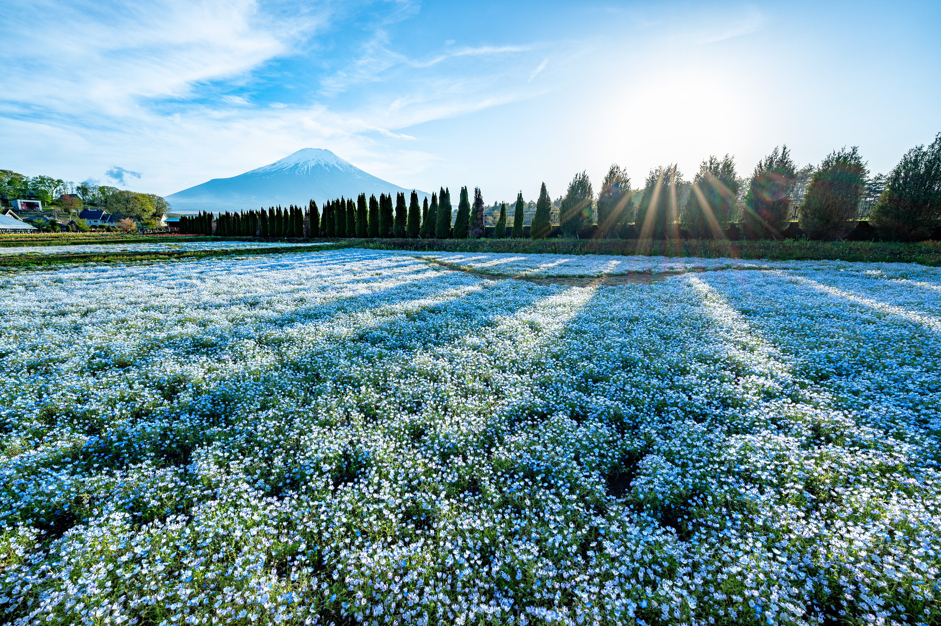 Location:Yamanashi,Japan