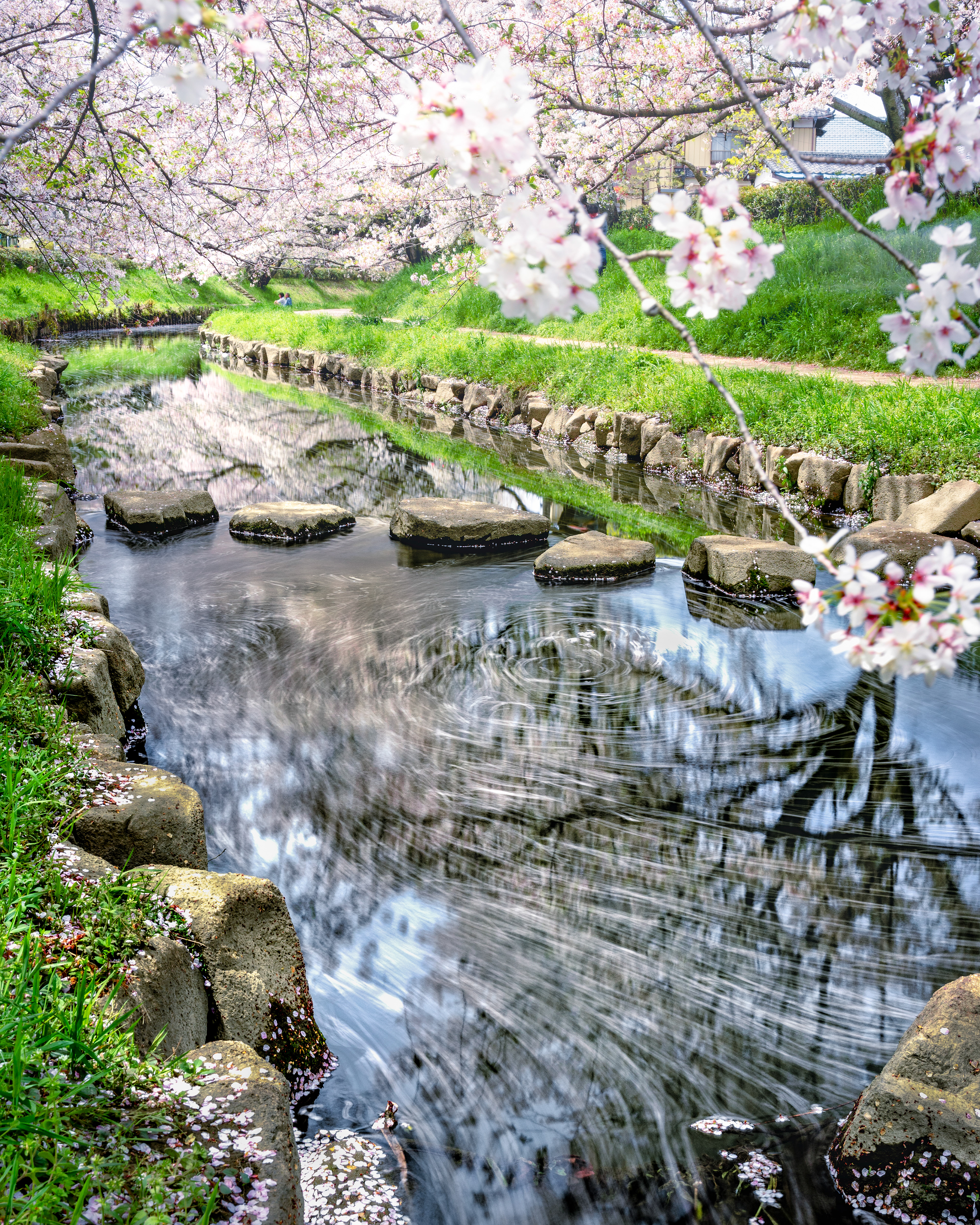 Location:Saitama,Japan