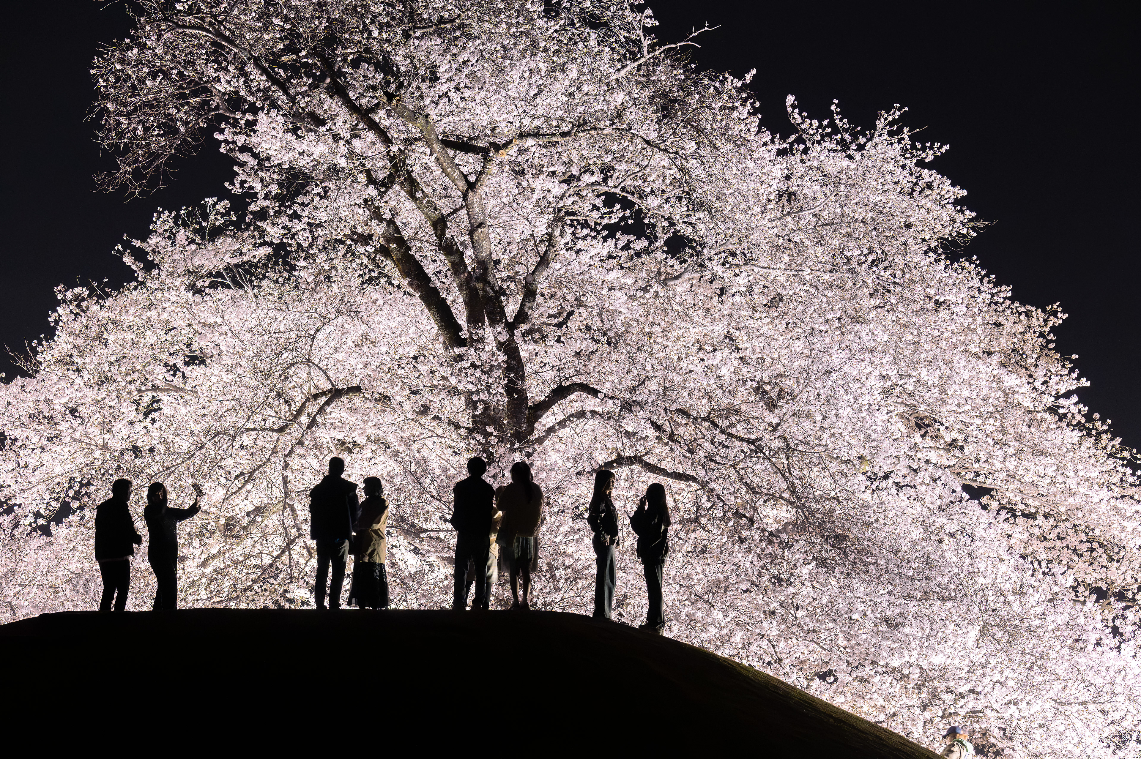 Location:Yamanashi,Japan