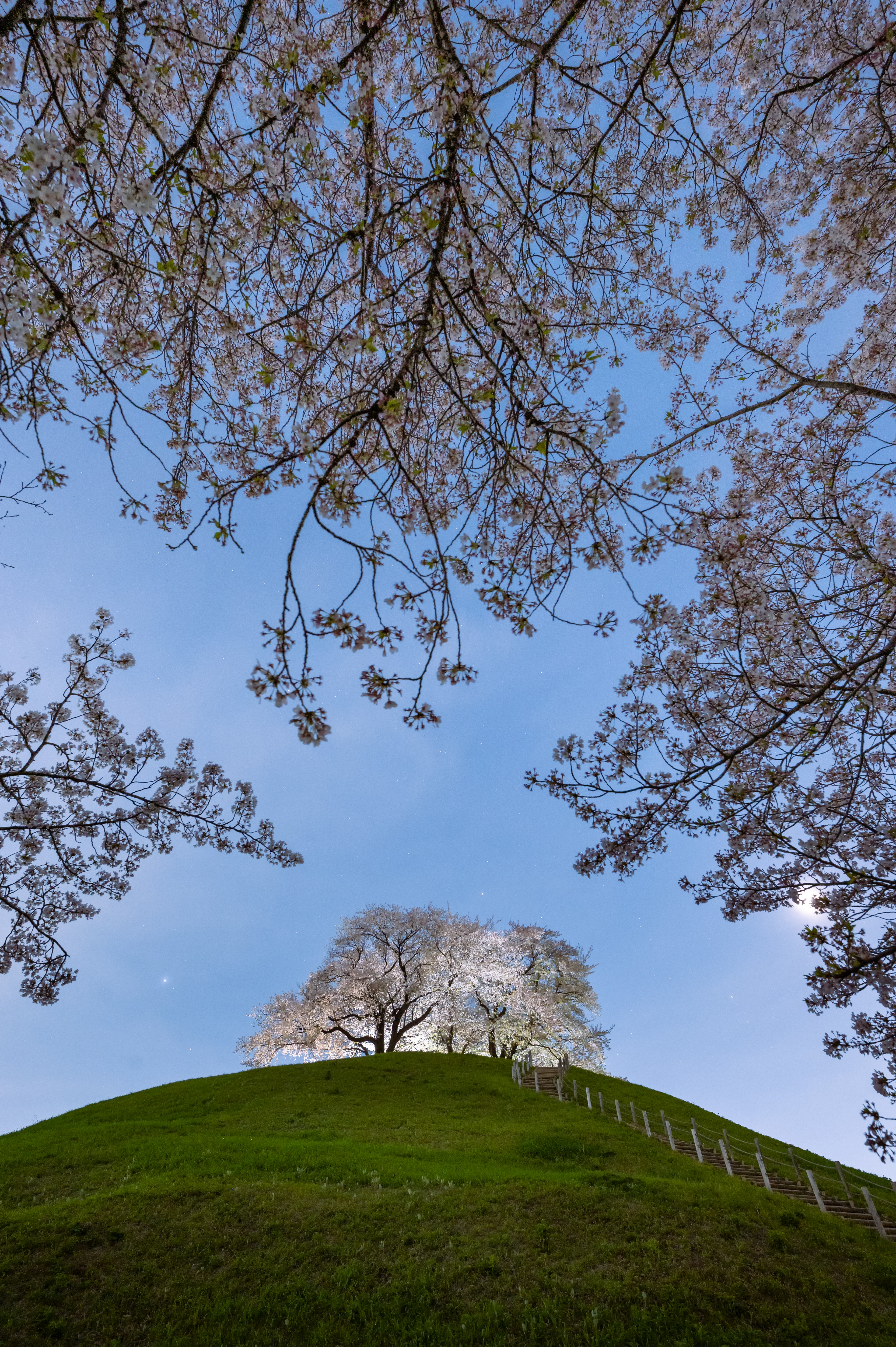 Location:Saitama,Japan