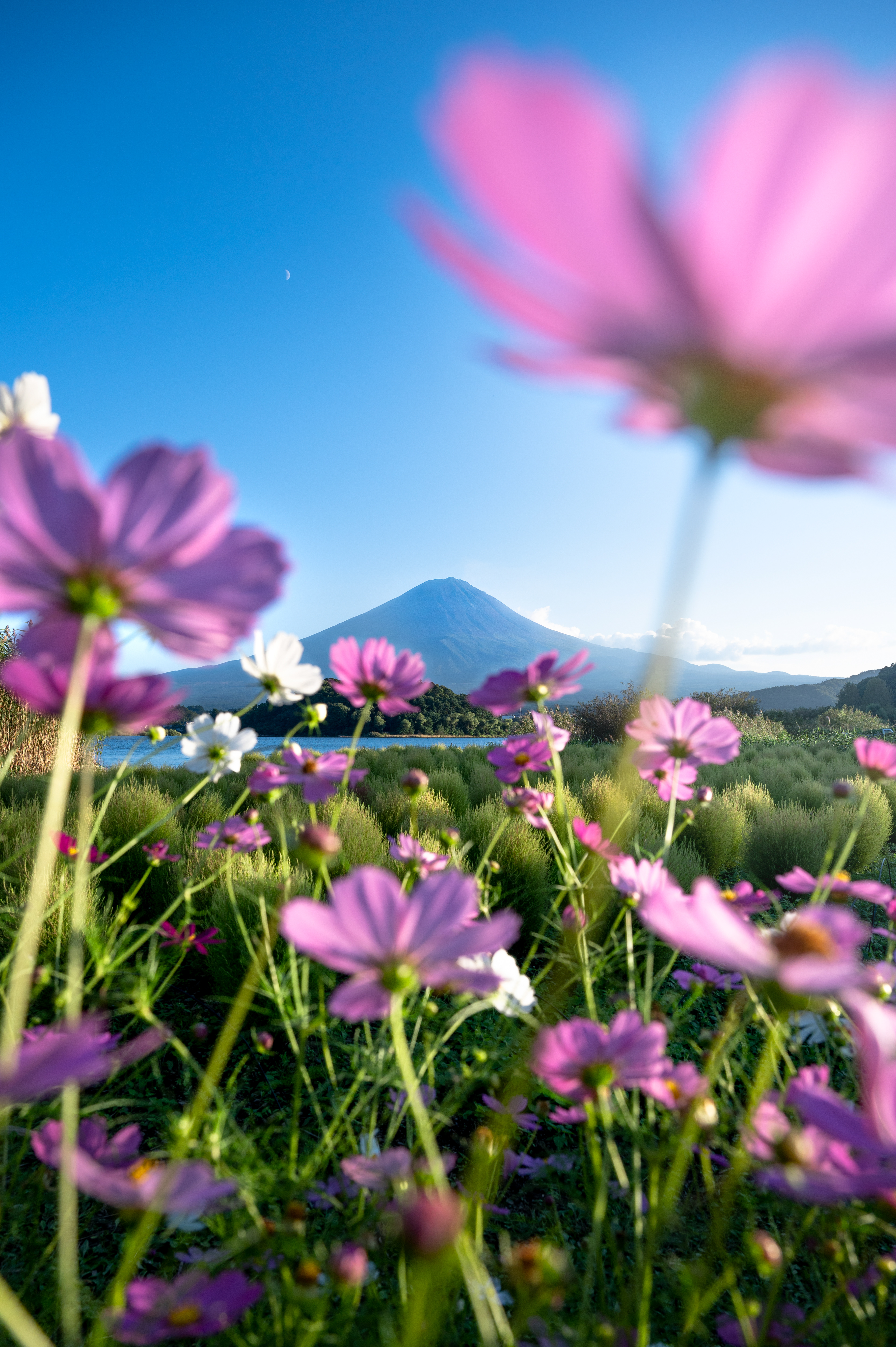 Location:Yamanashi,Japan