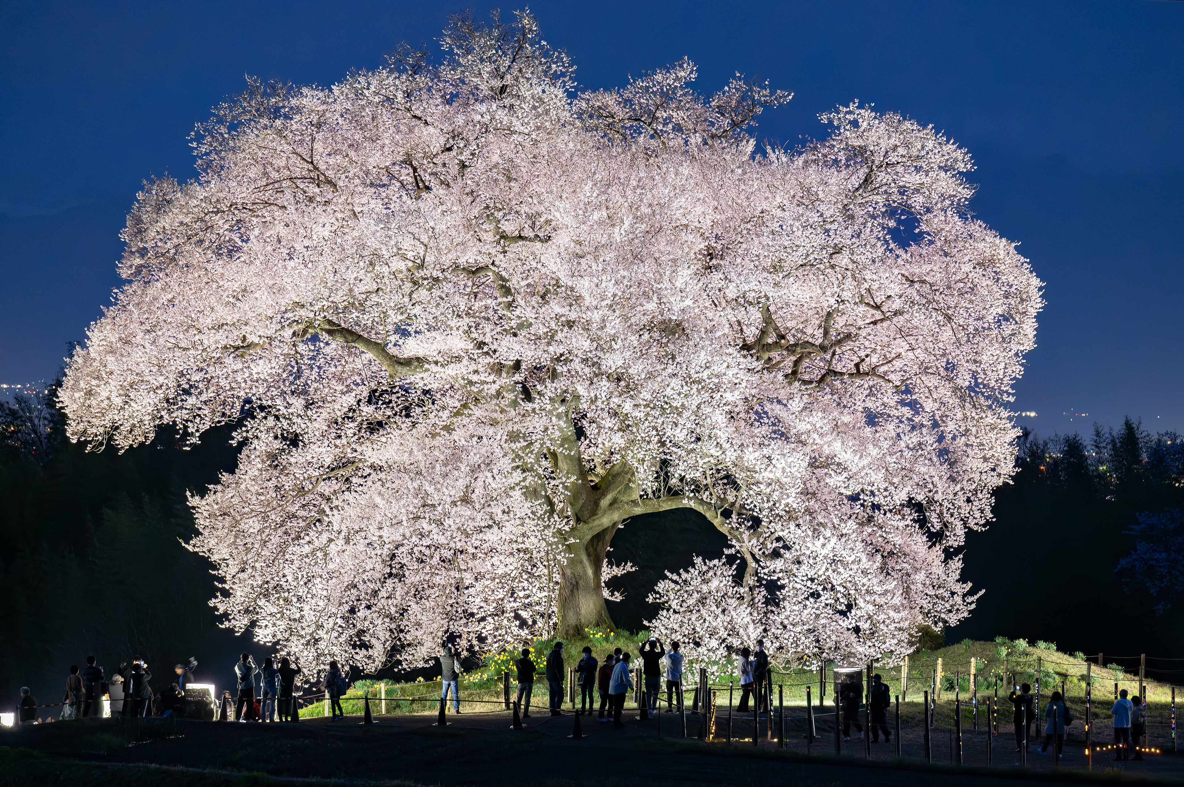 Location:Yamanashi,Japan