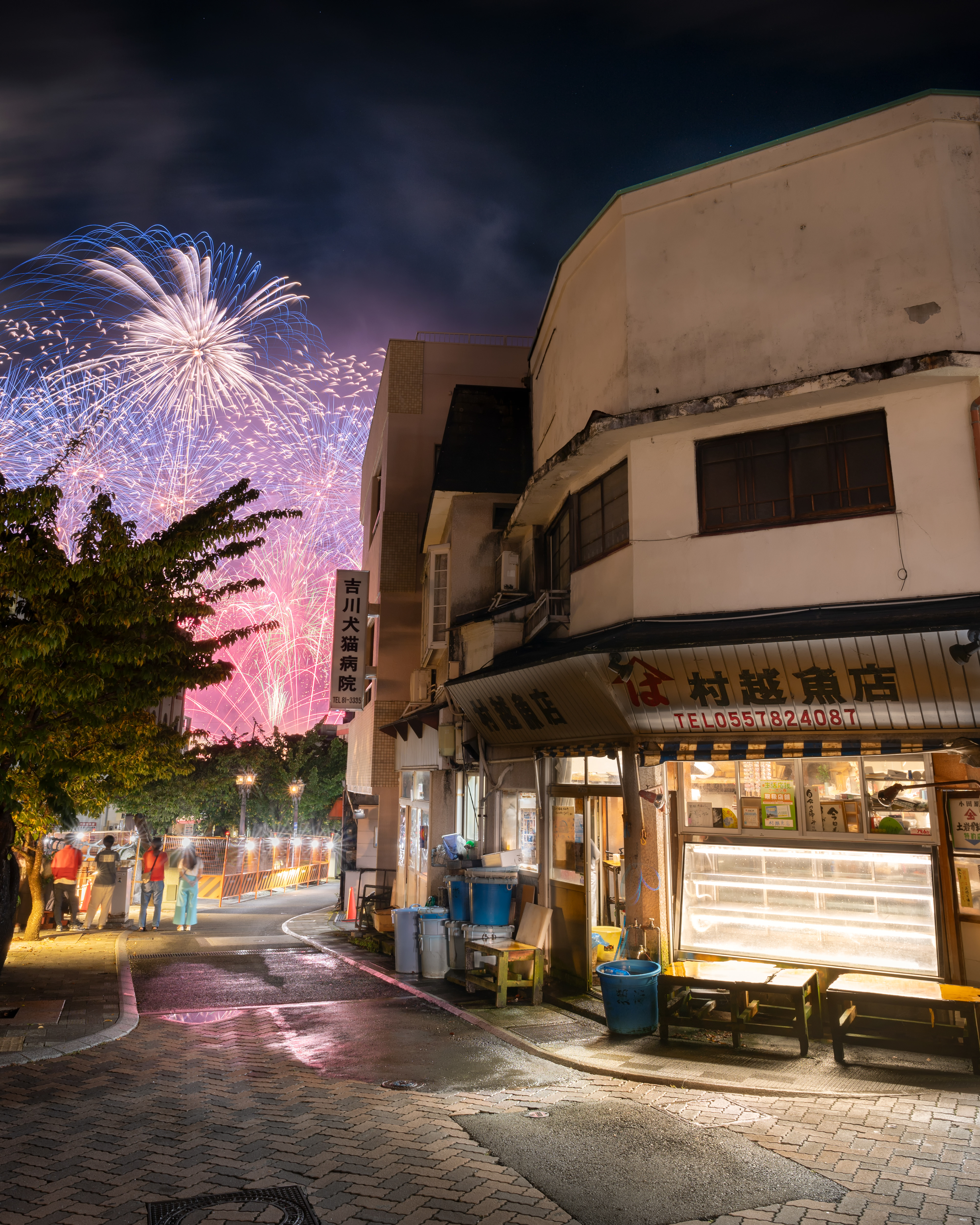 Location:Shizuoka,Japan