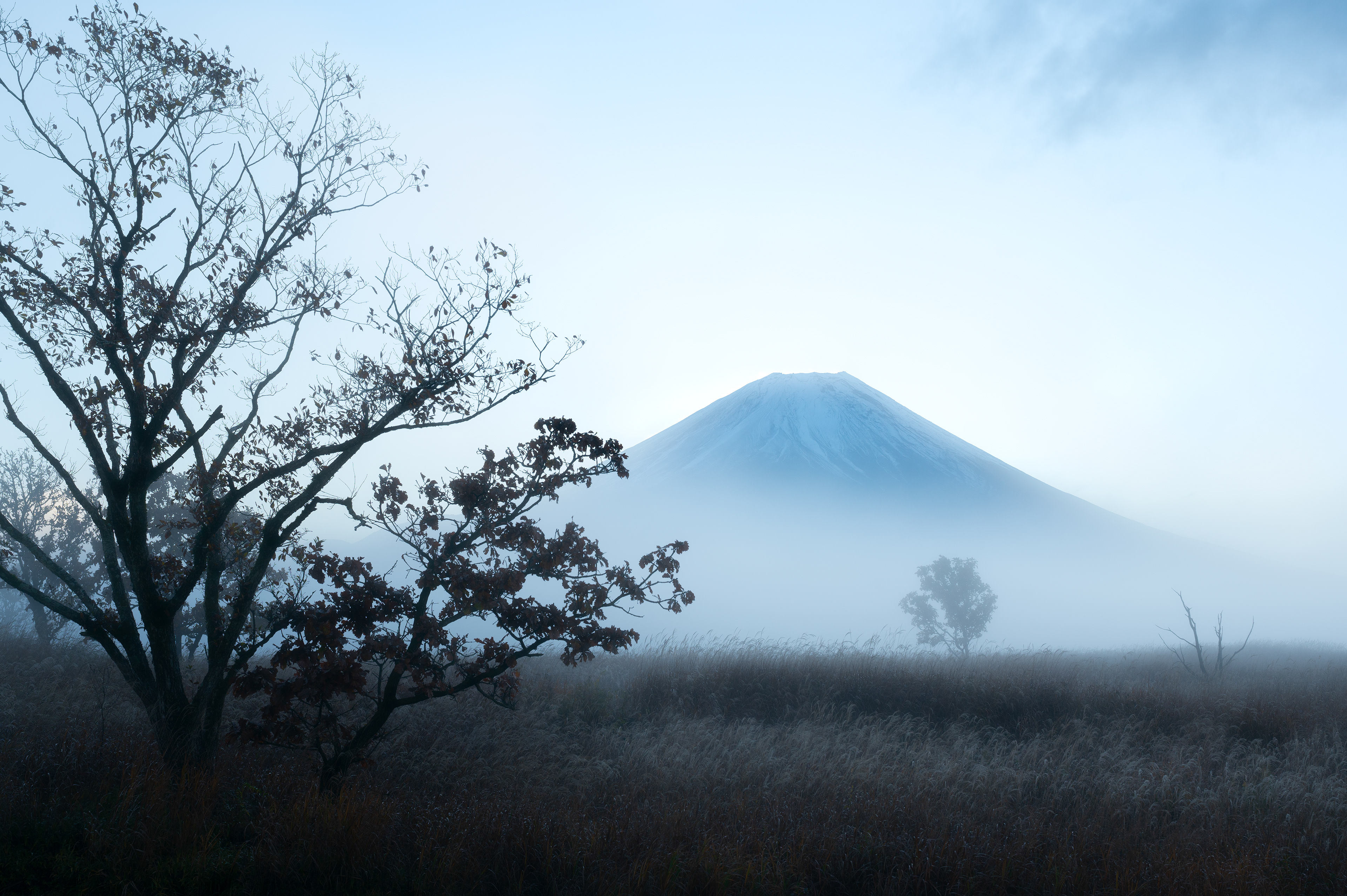 Location:Shizuoka,Japan