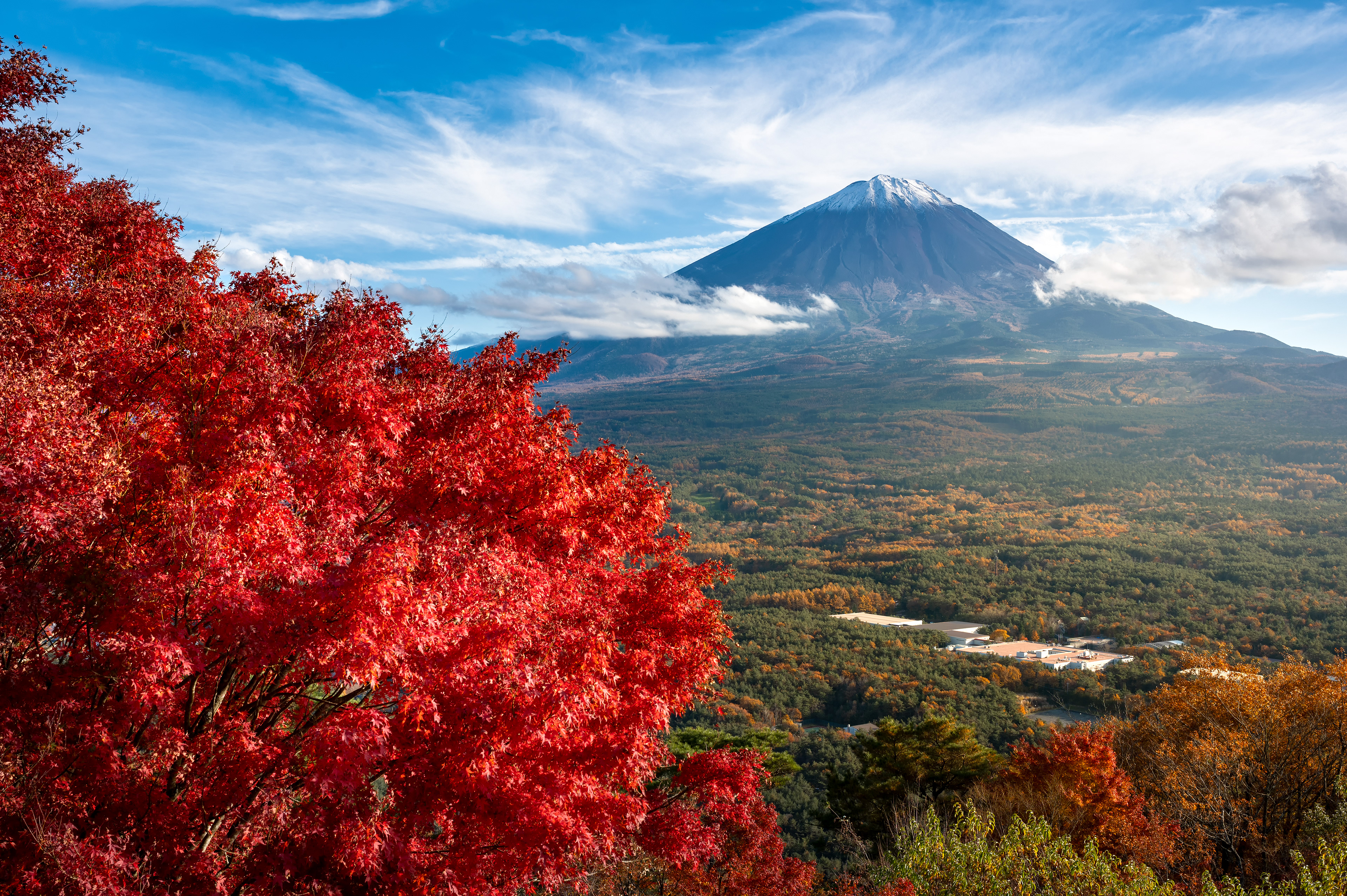 Location:Yamanashi,Japan