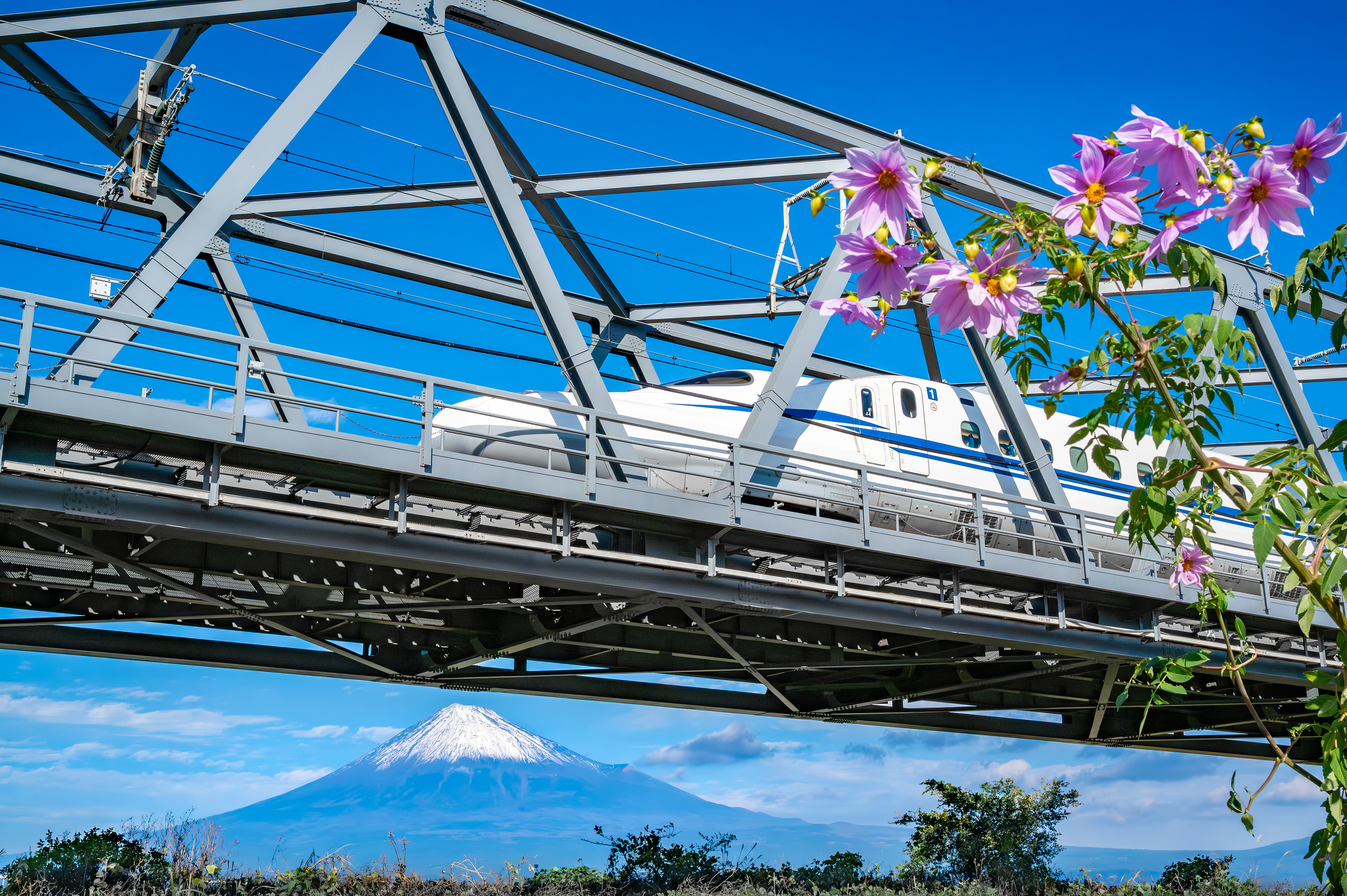 Location:Shizuoka,Japan