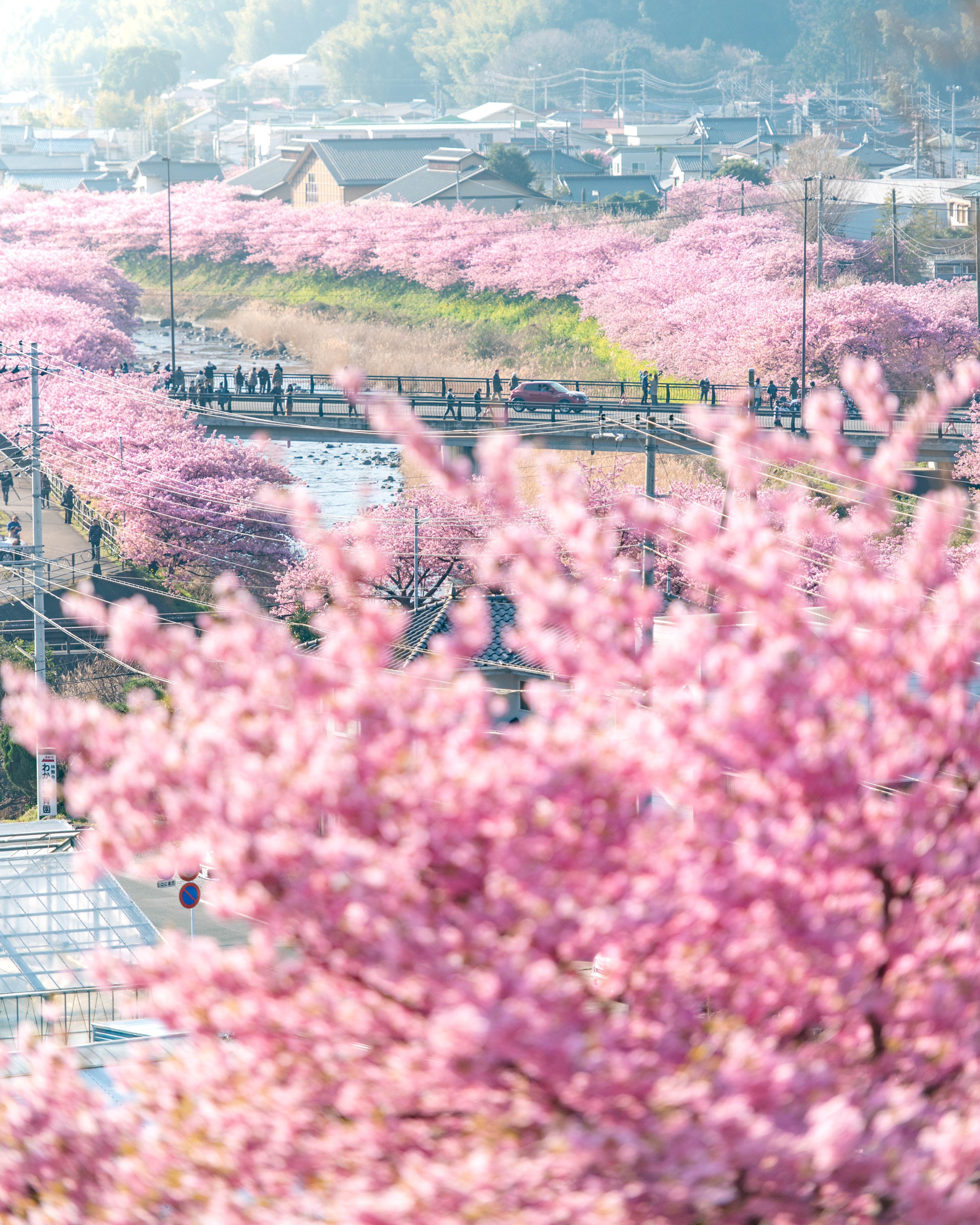 Location:Shizuoka,Japan