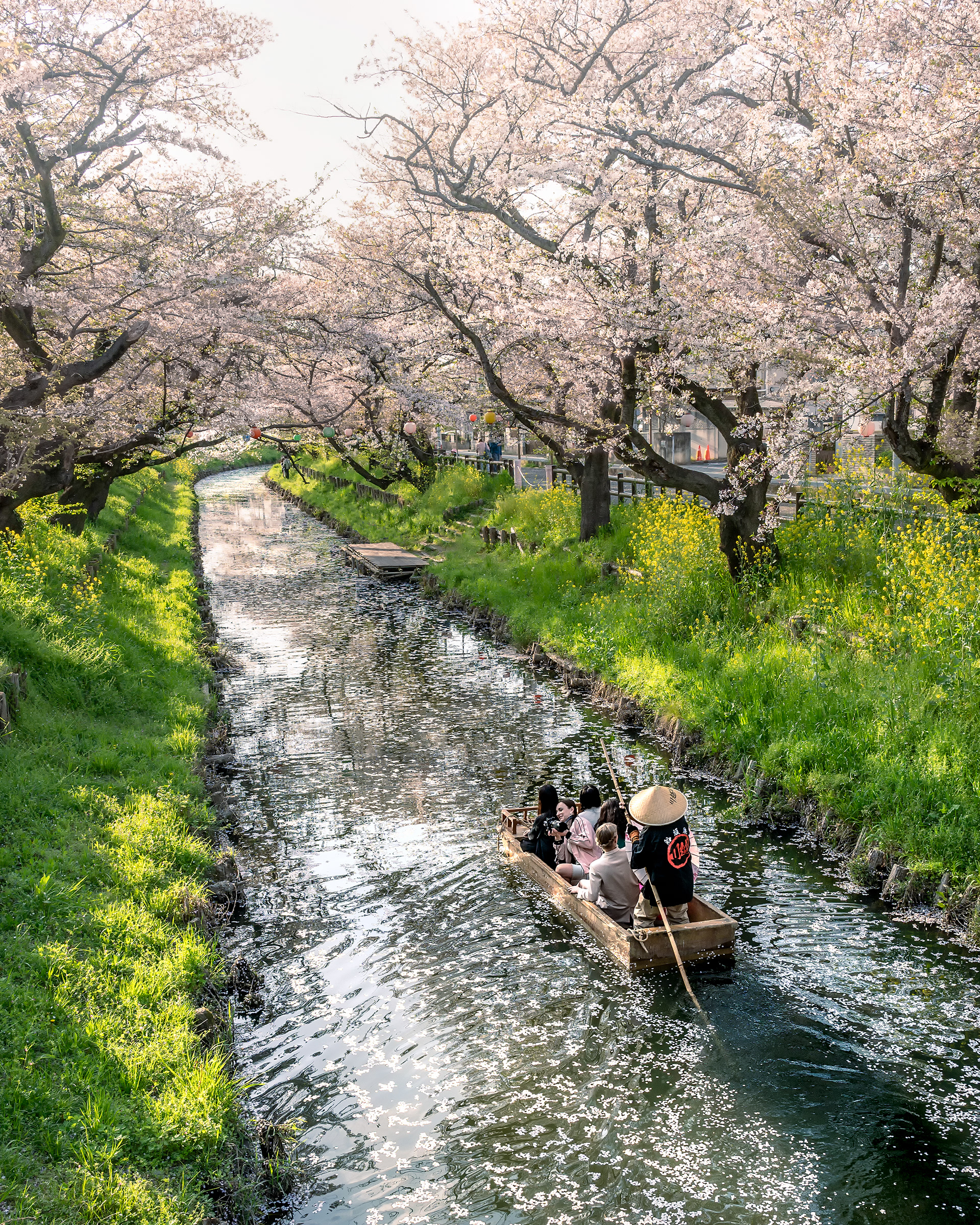 Location:Saitama,Japan