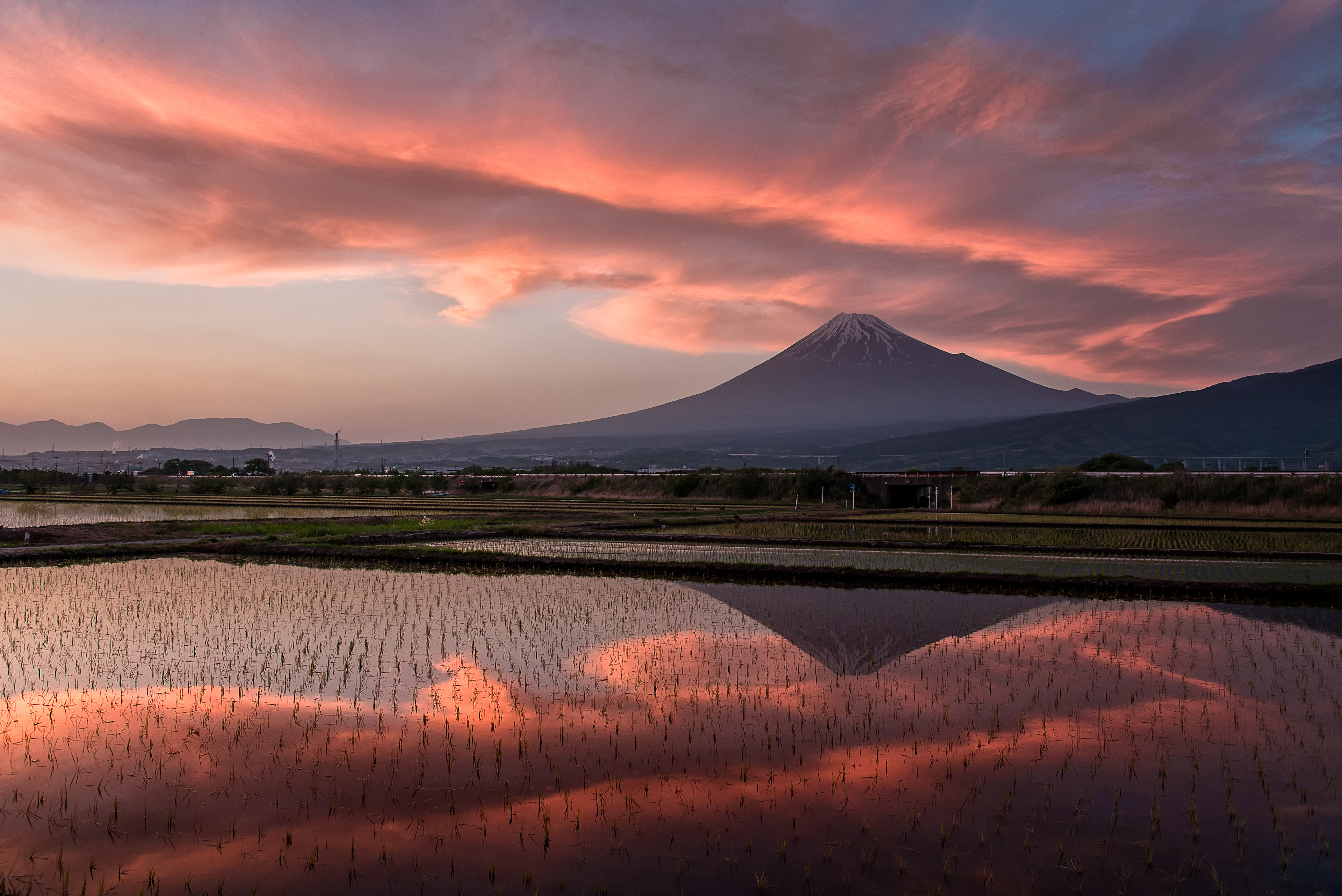 Location:Shizuoka,Japan