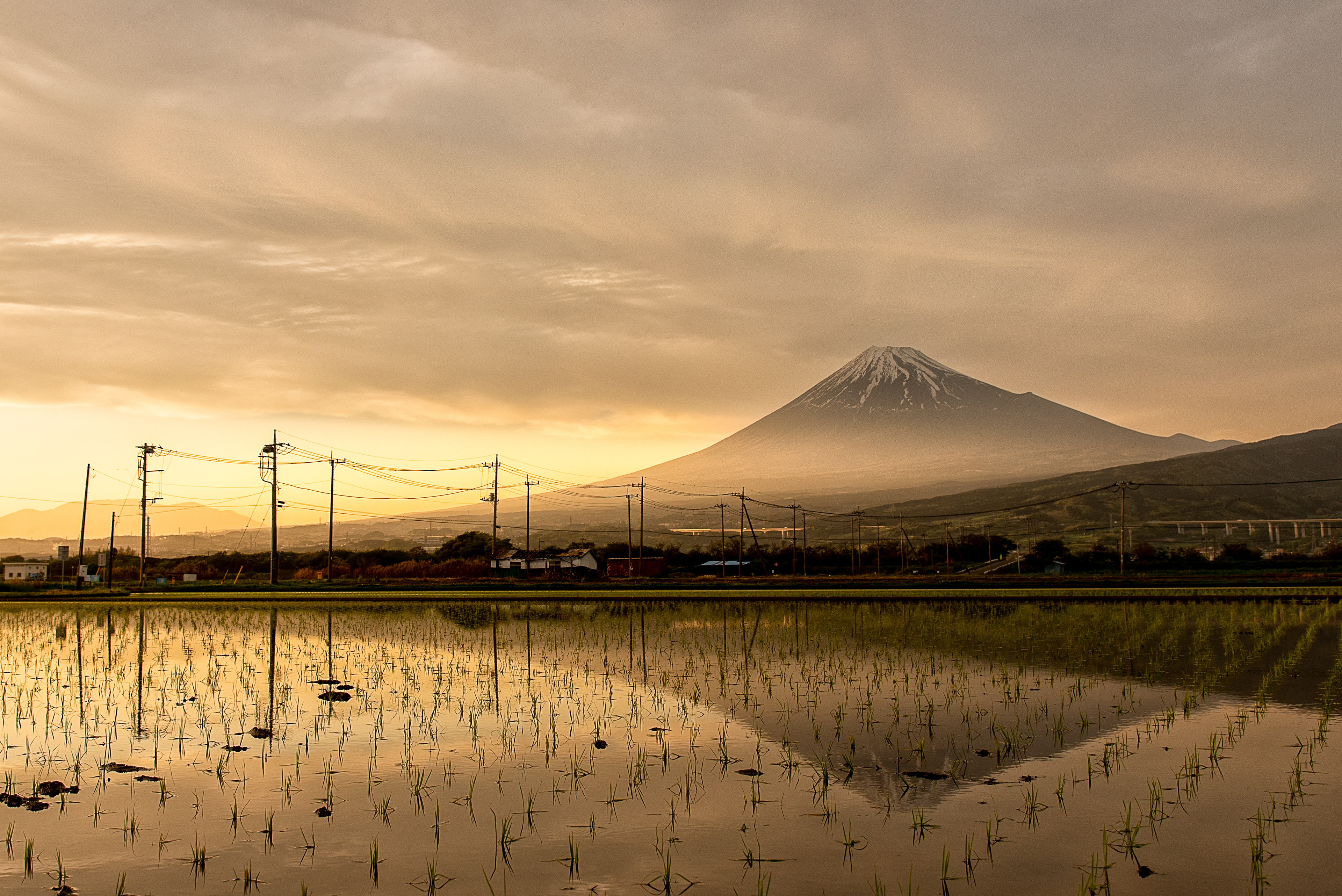 Location:Shizuoka,Japan