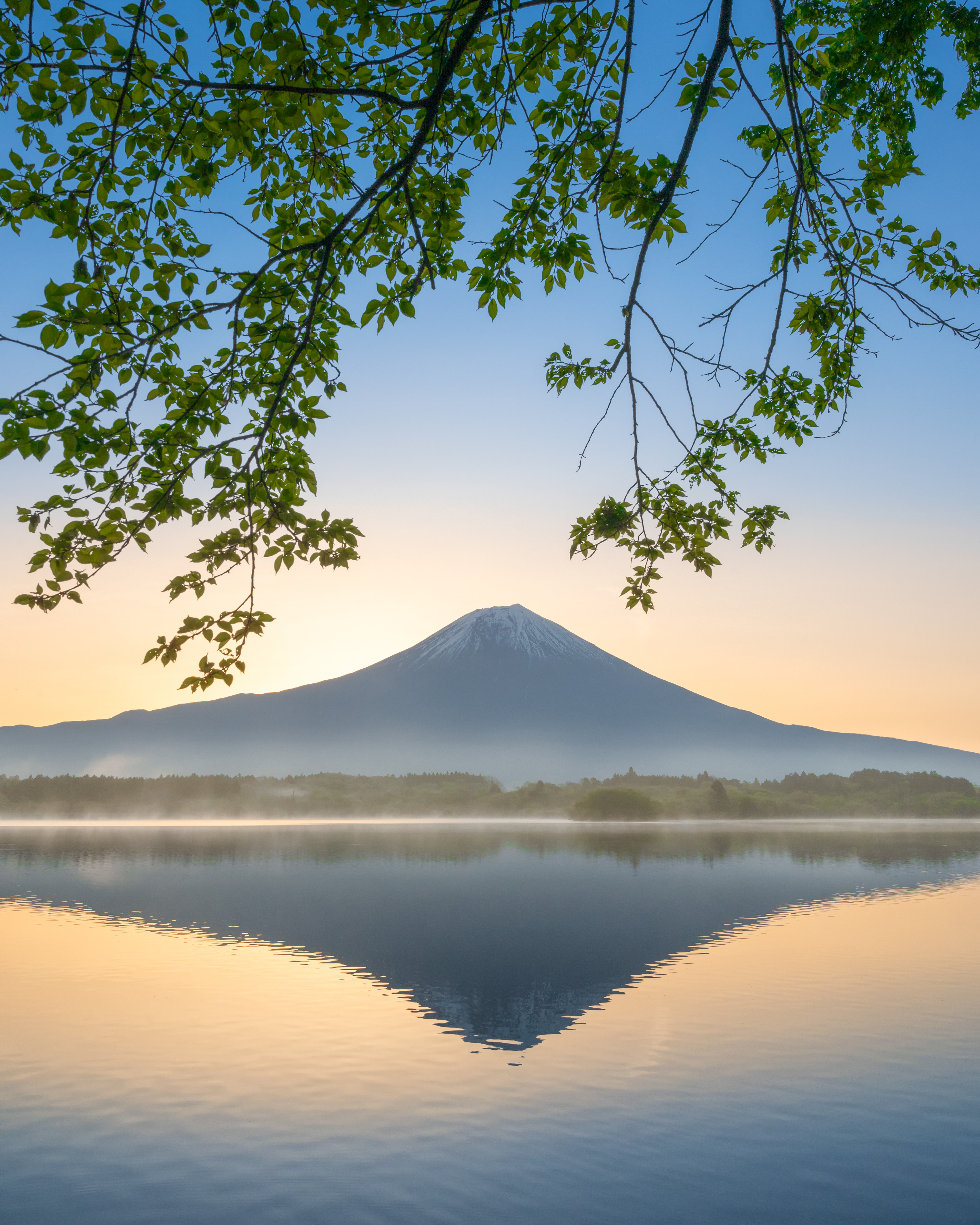 Location:Shizuoka,Japan