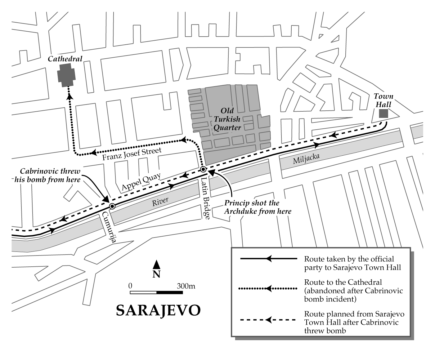 Cambridge University Press "The Great War" Franz Ferdinand assassination in Sarajevo