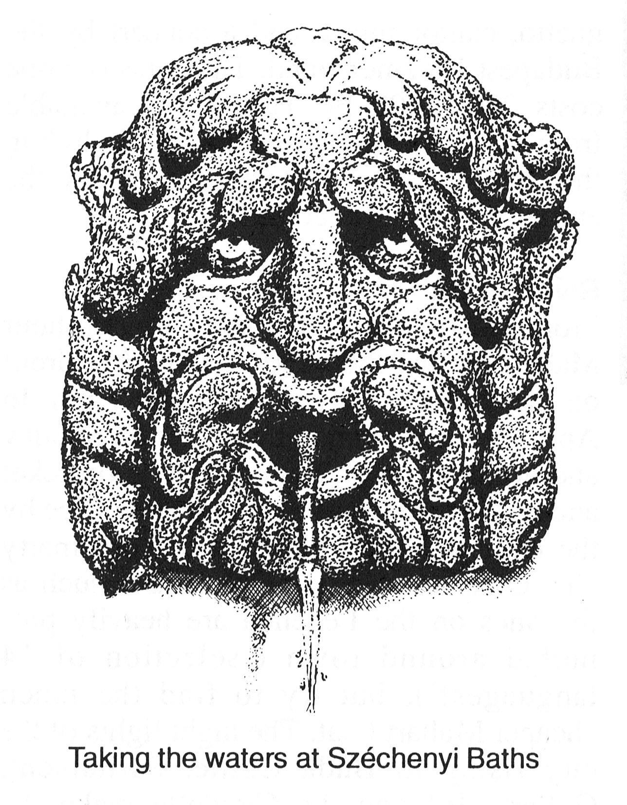 Lonely Planet - Hungary travel guide hand-drawn illustration