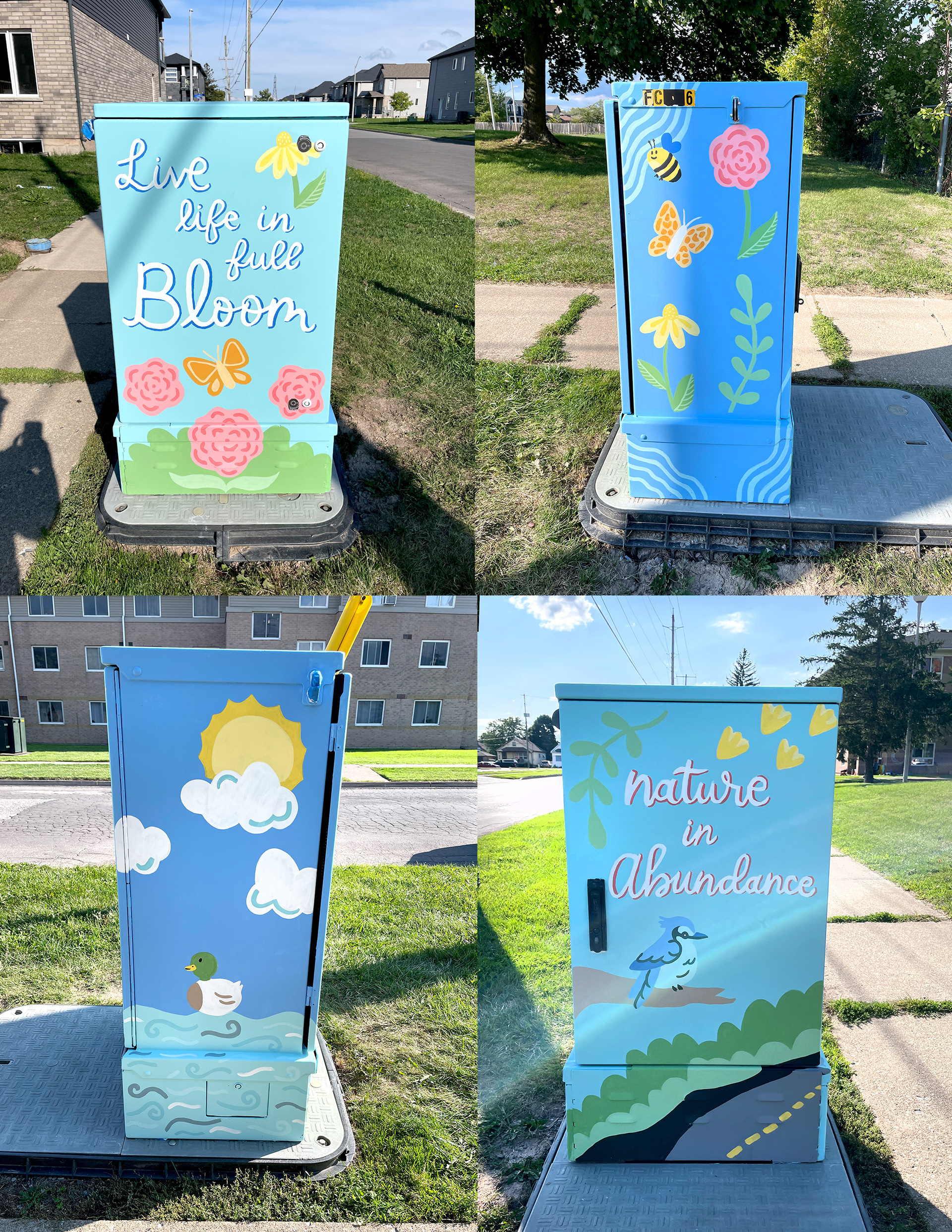 Four sides of a Bell utility box are displayed with colourful nature designs, including flowers, butterflies, leaves, a bee, a duck in water, and a bluejay on a branch. One side reads "Live life in full bloom" and another reads "nature in abundance"