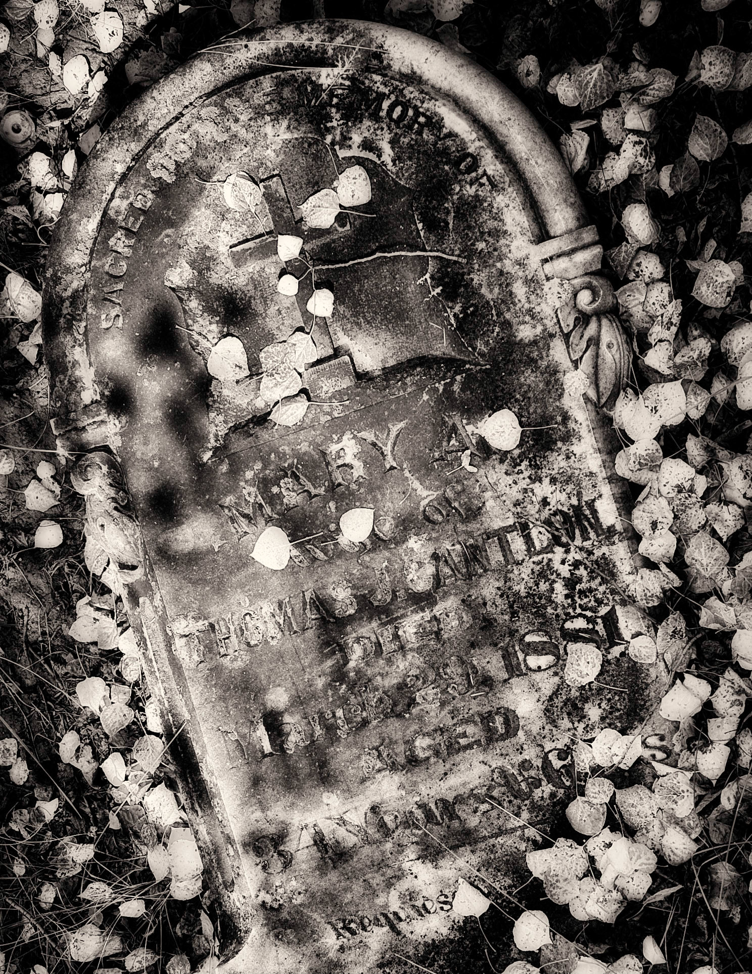 Fallen Headstone, Georgetown Cemetery