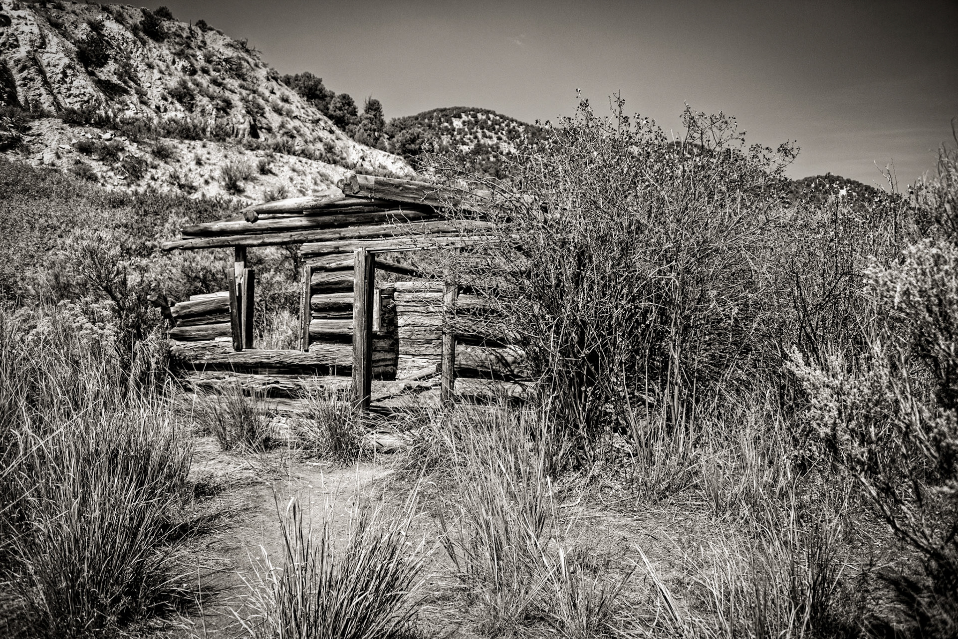 Abandoned Cabin on the Colorado River