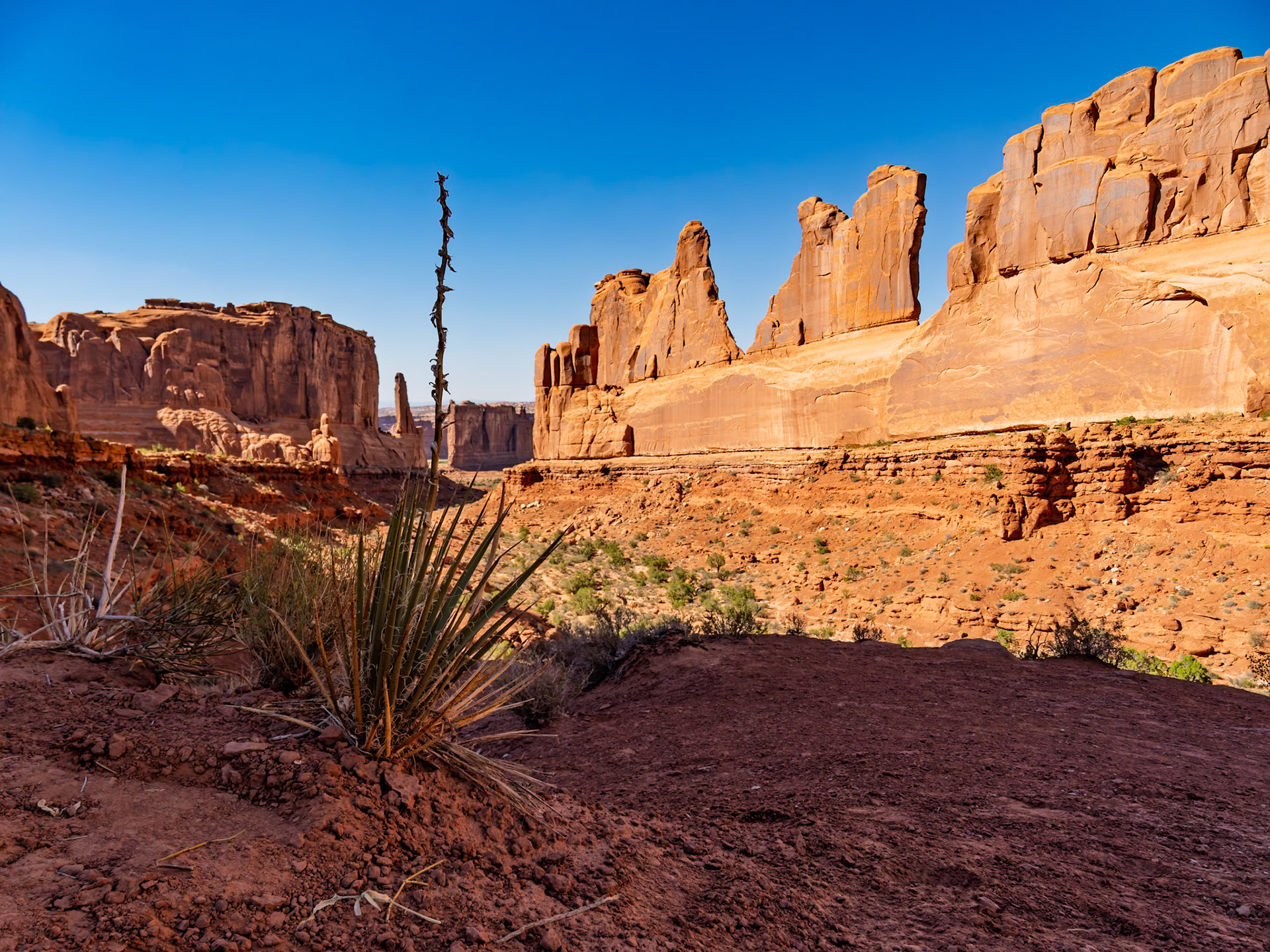 Wall Street Arches National Park
