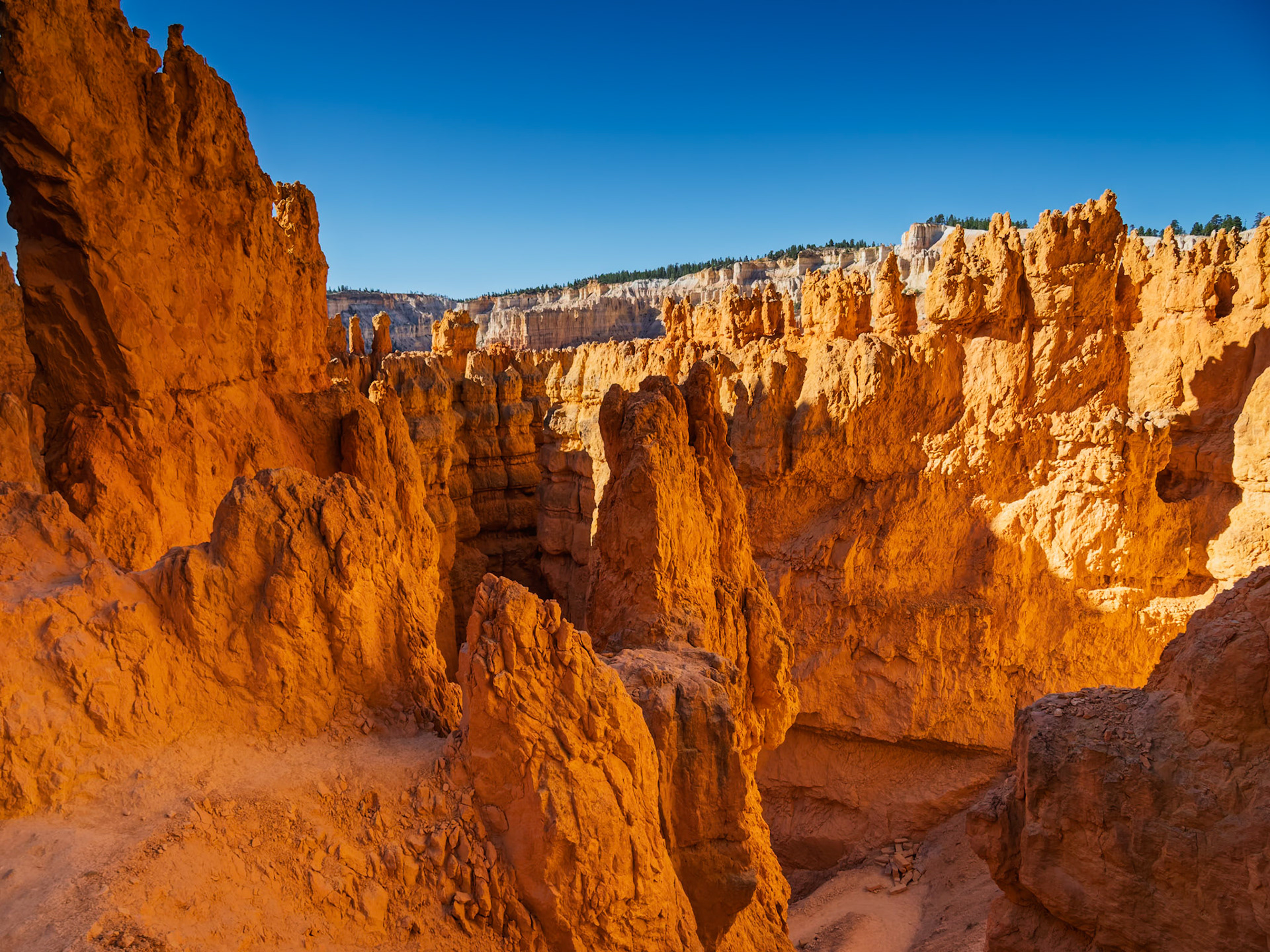 Bryce Canyon National Park