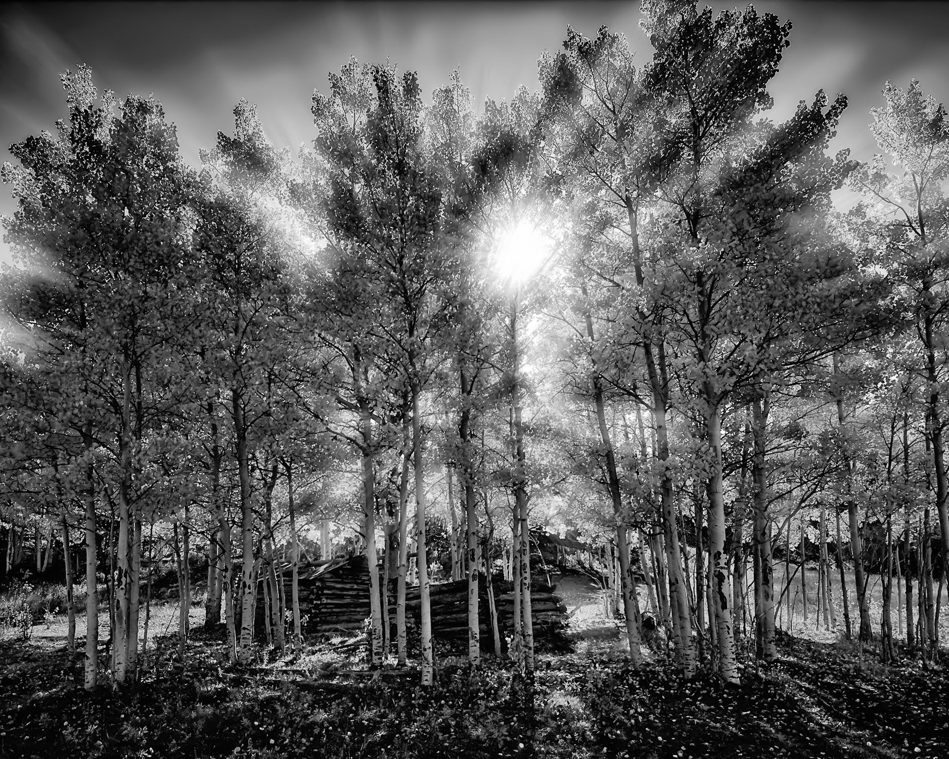 Cabin on the Peak to Peak Highway near Ward