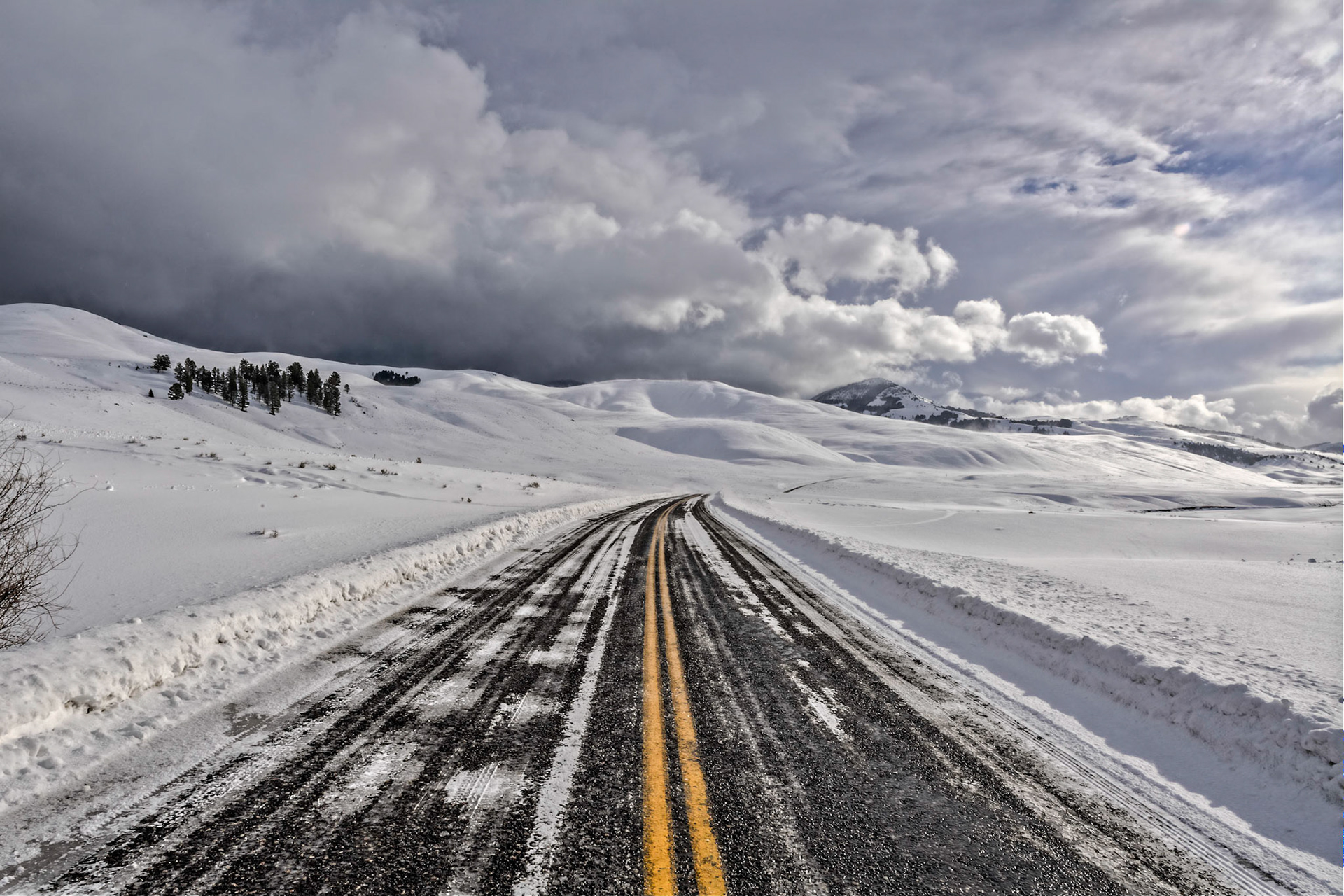 Roadway in Lamar Valley