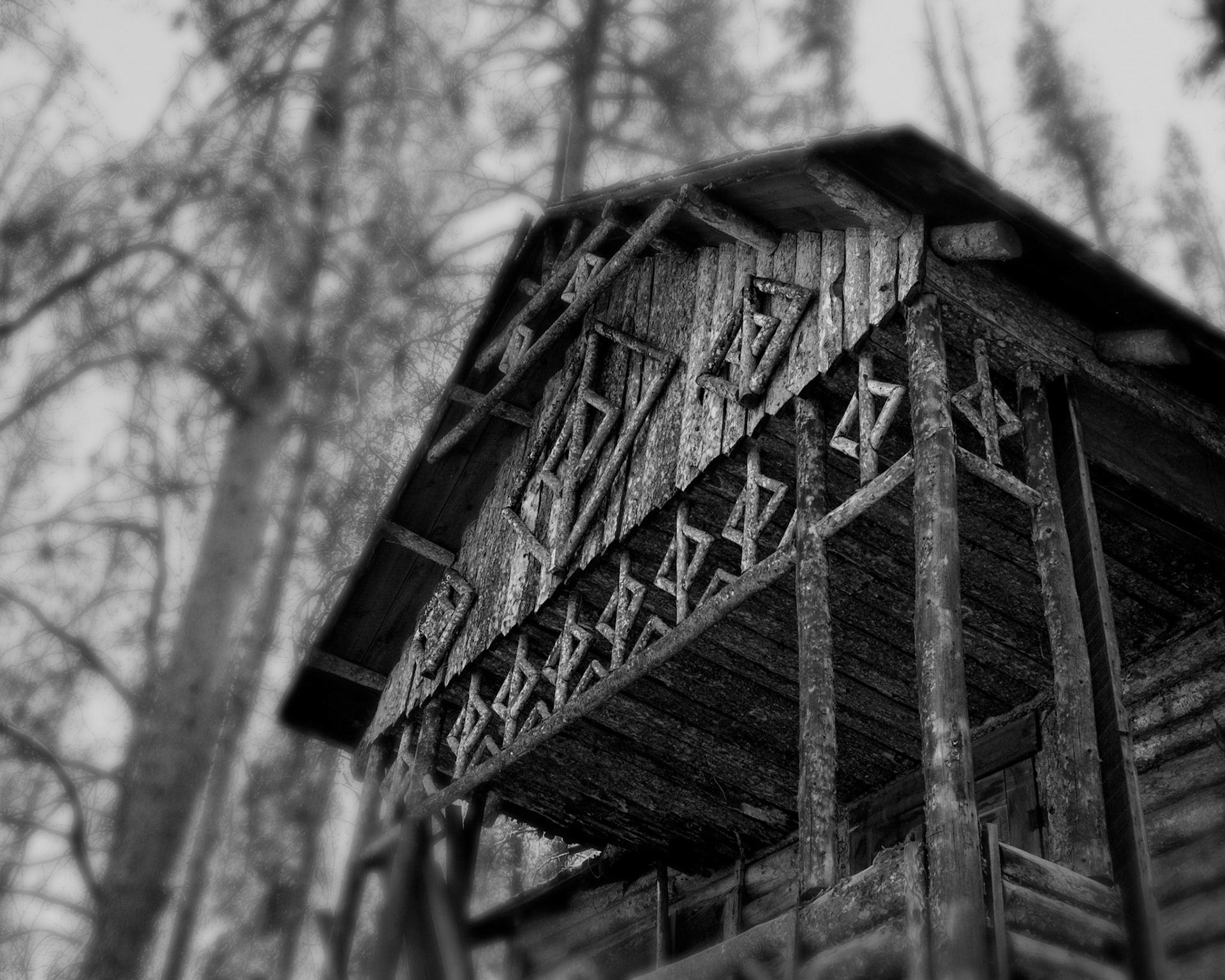 1920's Cabin Near Hot Sulpher Springs