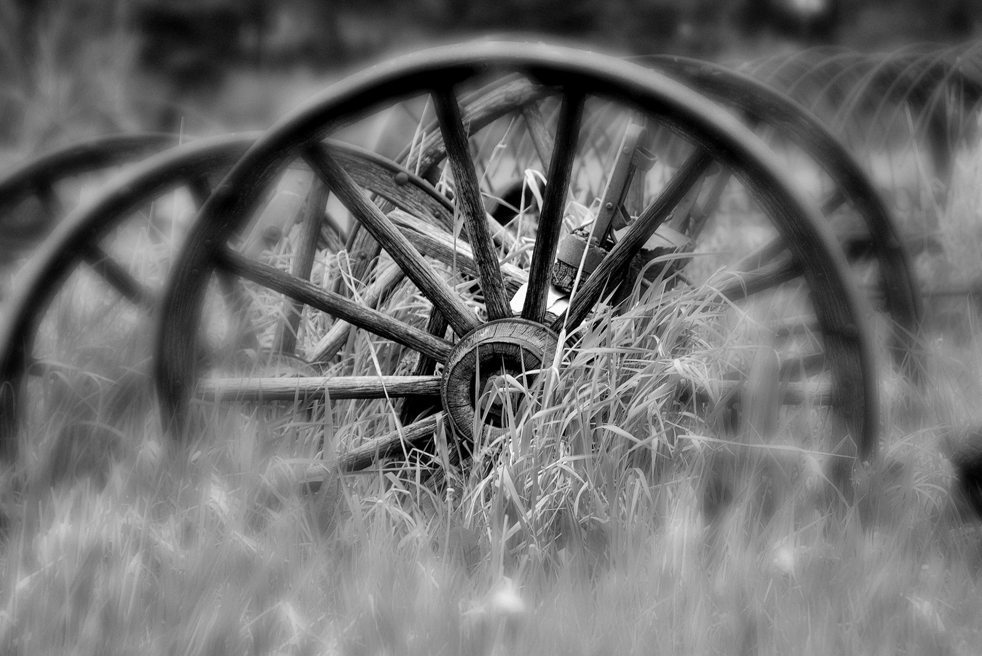 Wooden Wheel in Rocky Mt. National Park