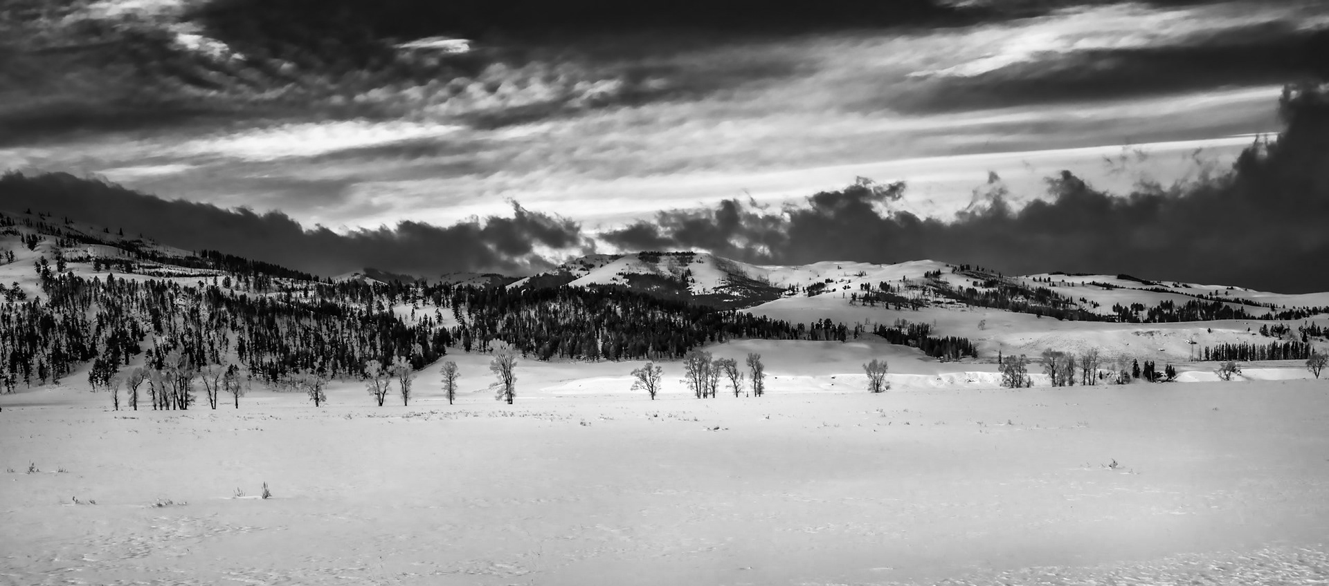 Lamar Valley