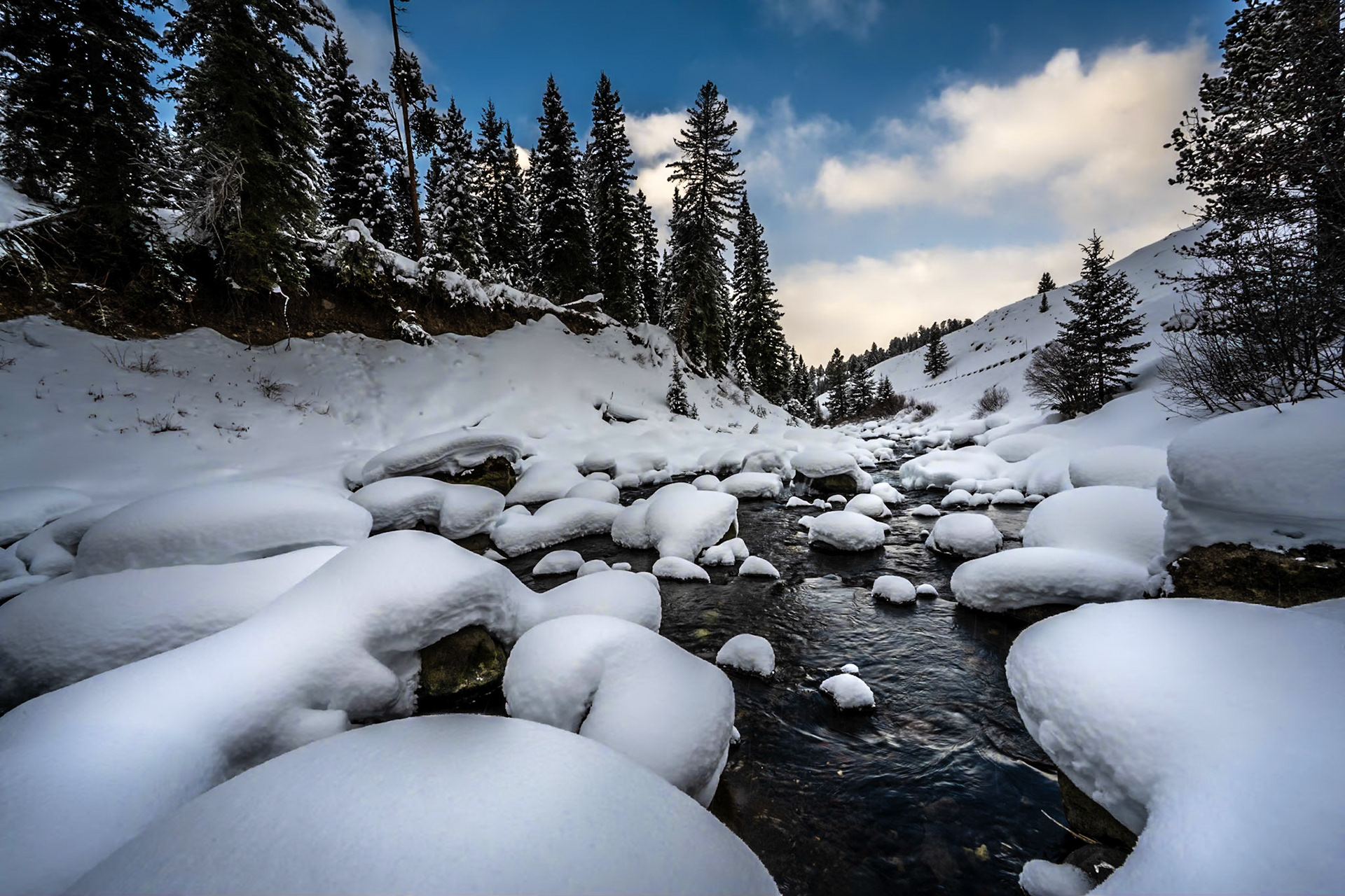 Lamar River