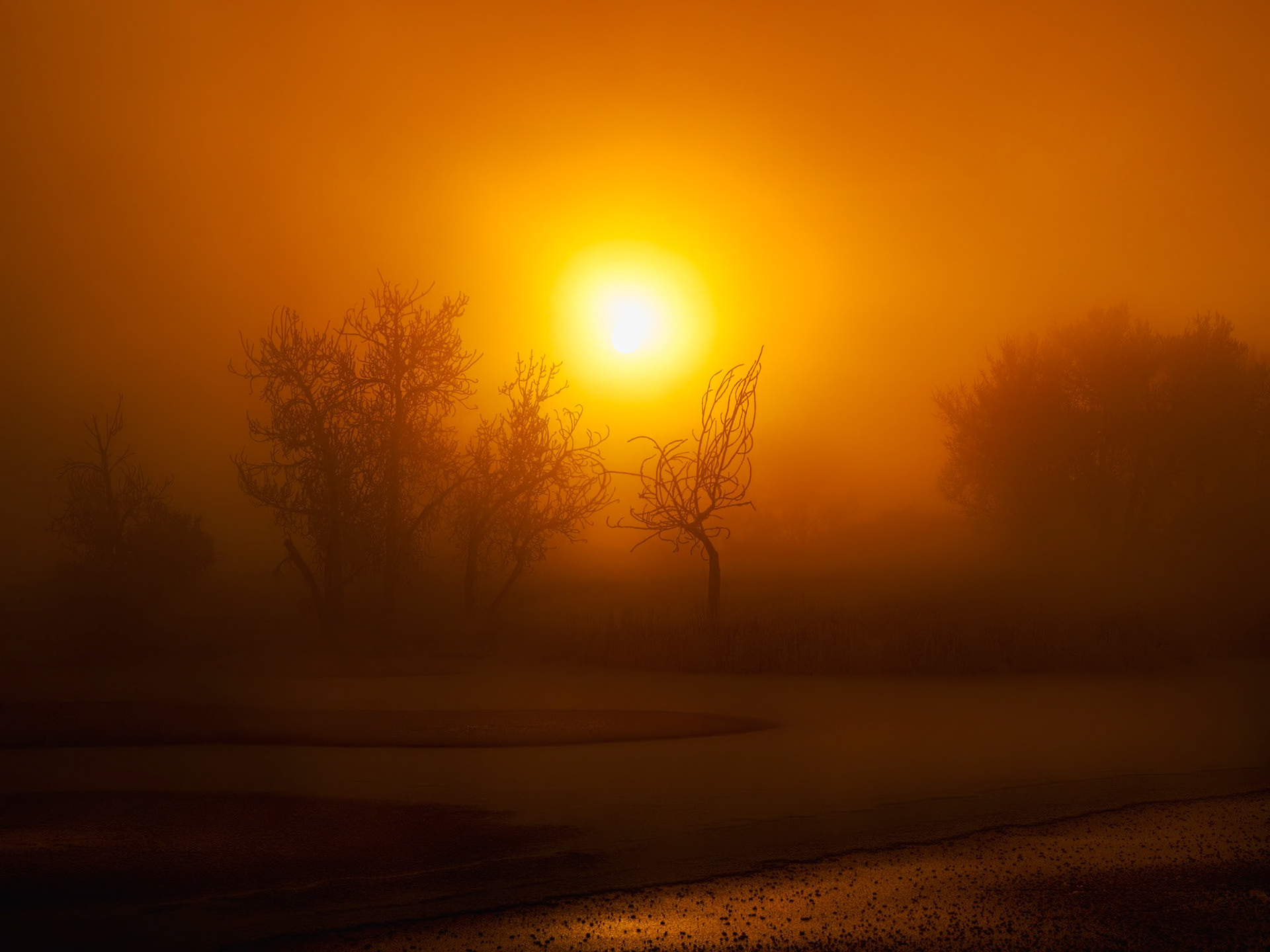Sunrise St. Vrain State Park Colorado