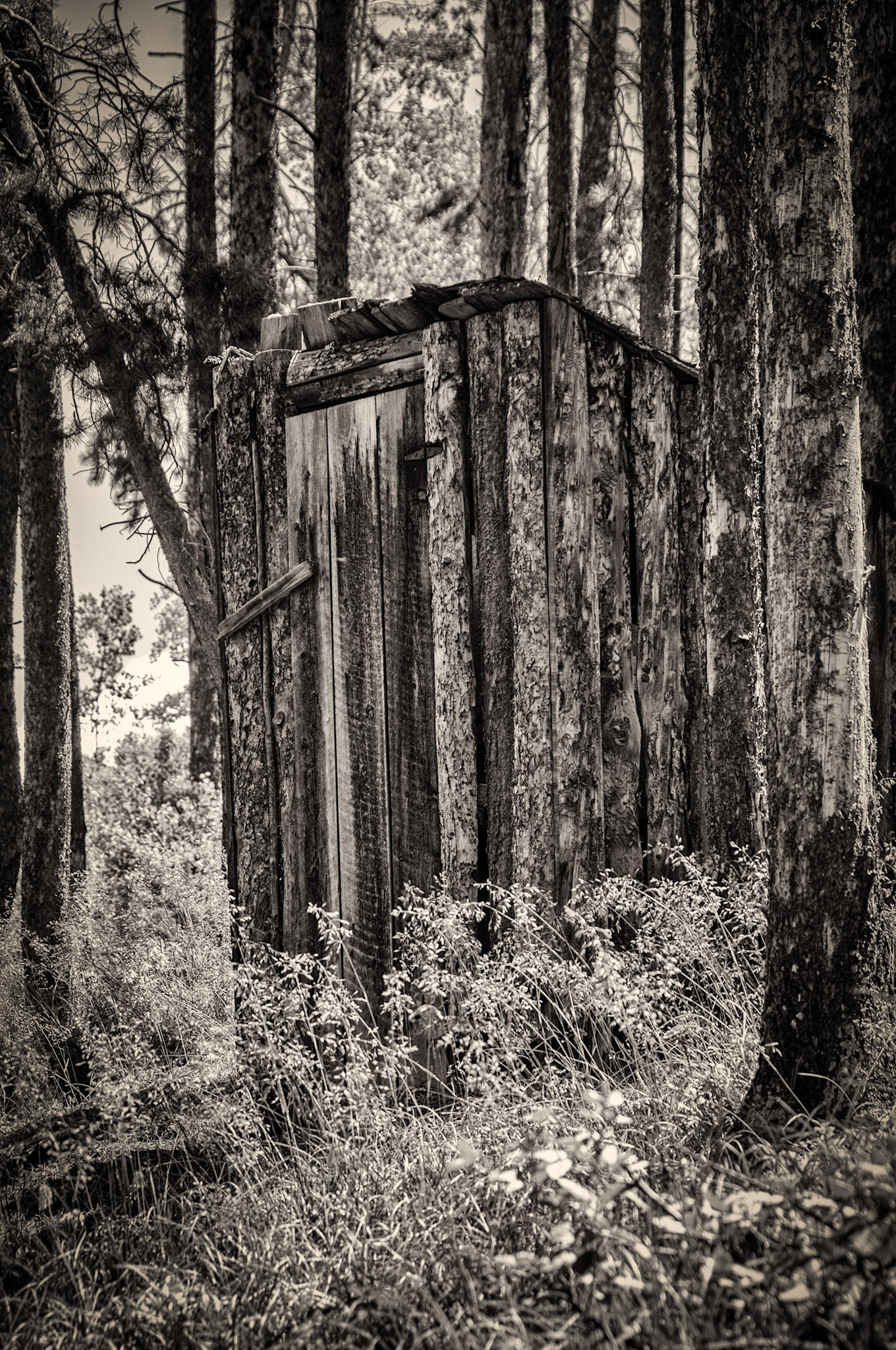 Out House