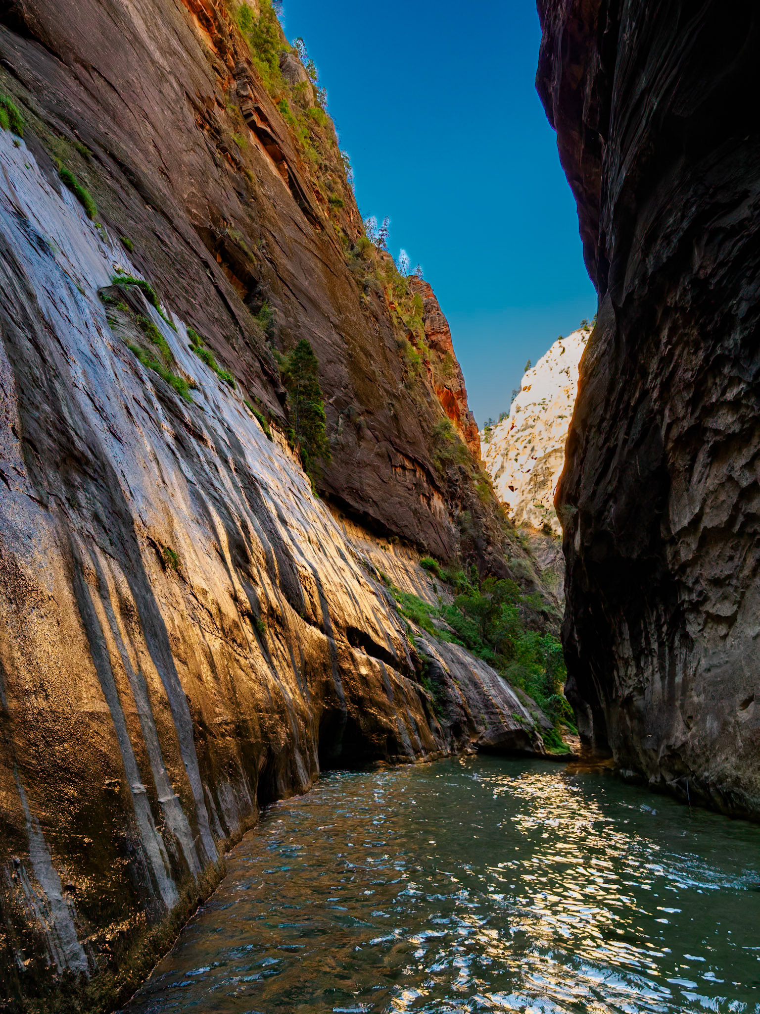 Zion National Park