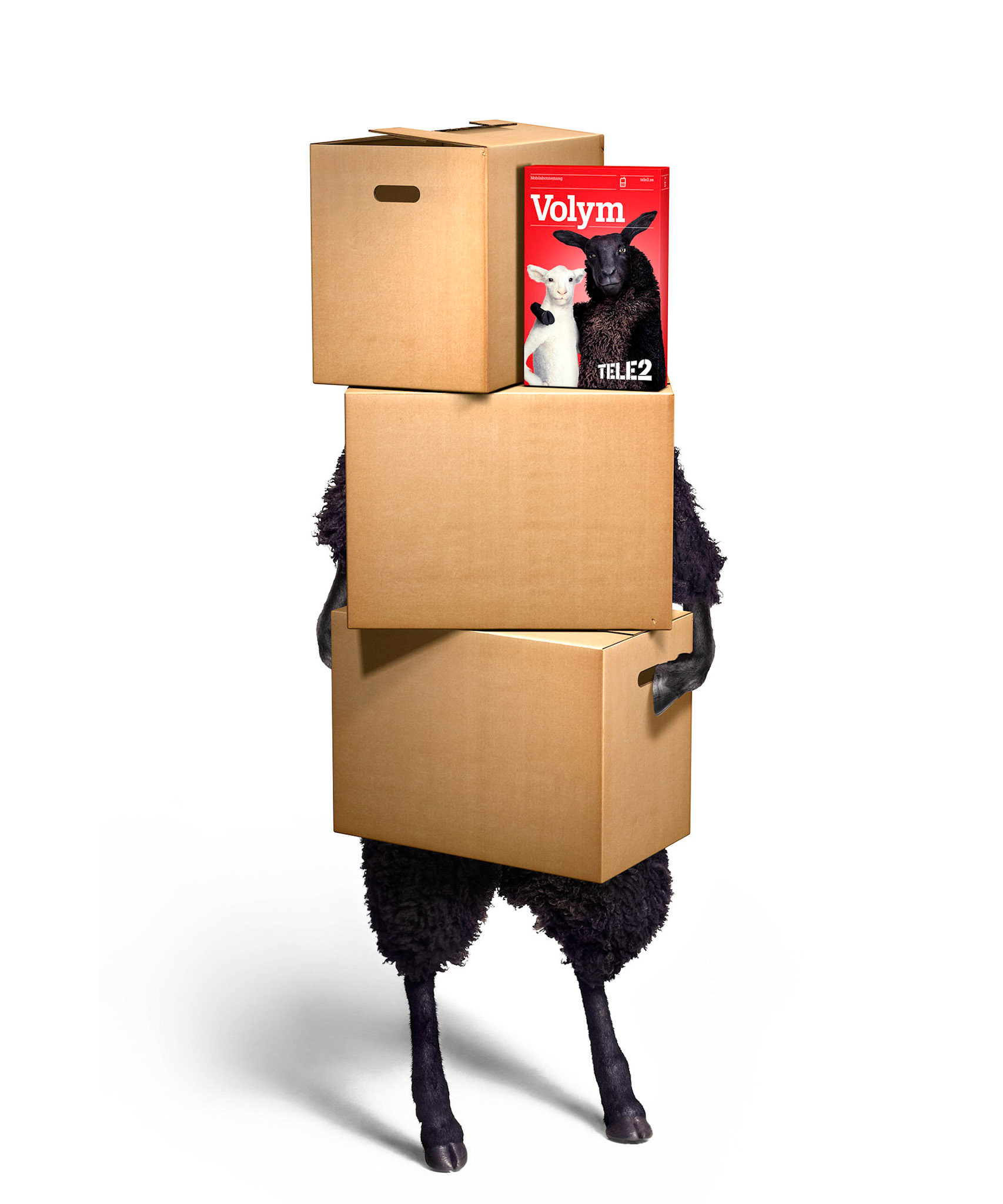 Client: Forsman & Bodenfors