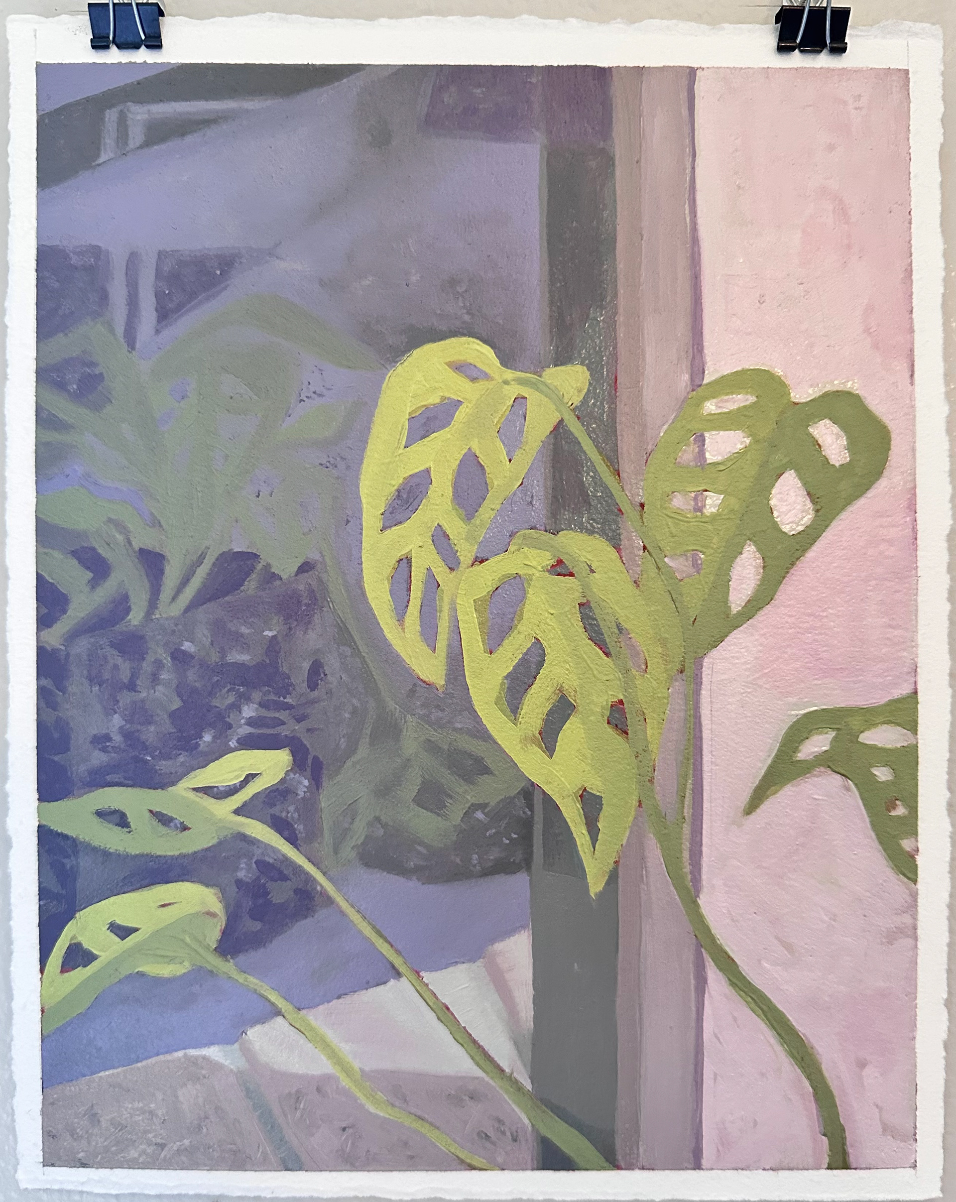 Swiss Cheese Plant study, 9 x 12, oil on paper