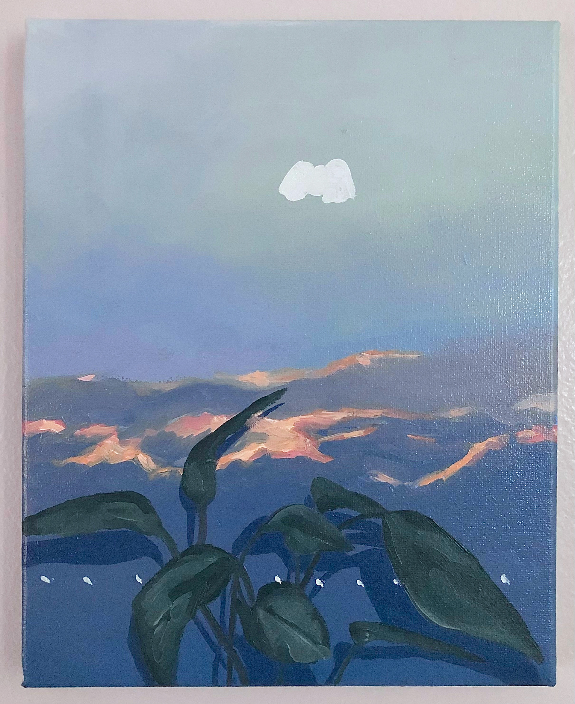 Pothos from Momma, 8 x 10 inches