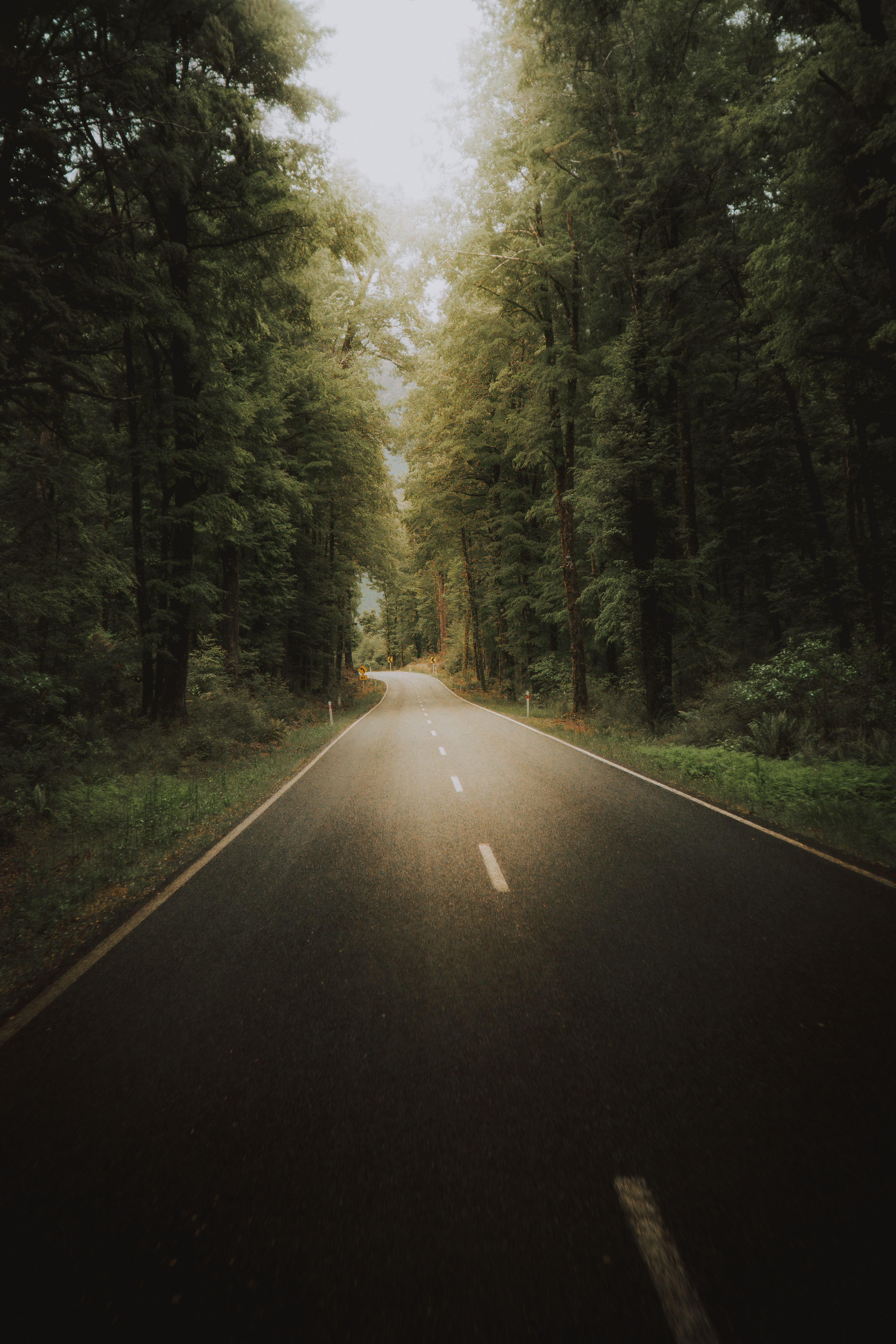 The Silence Path, 2026