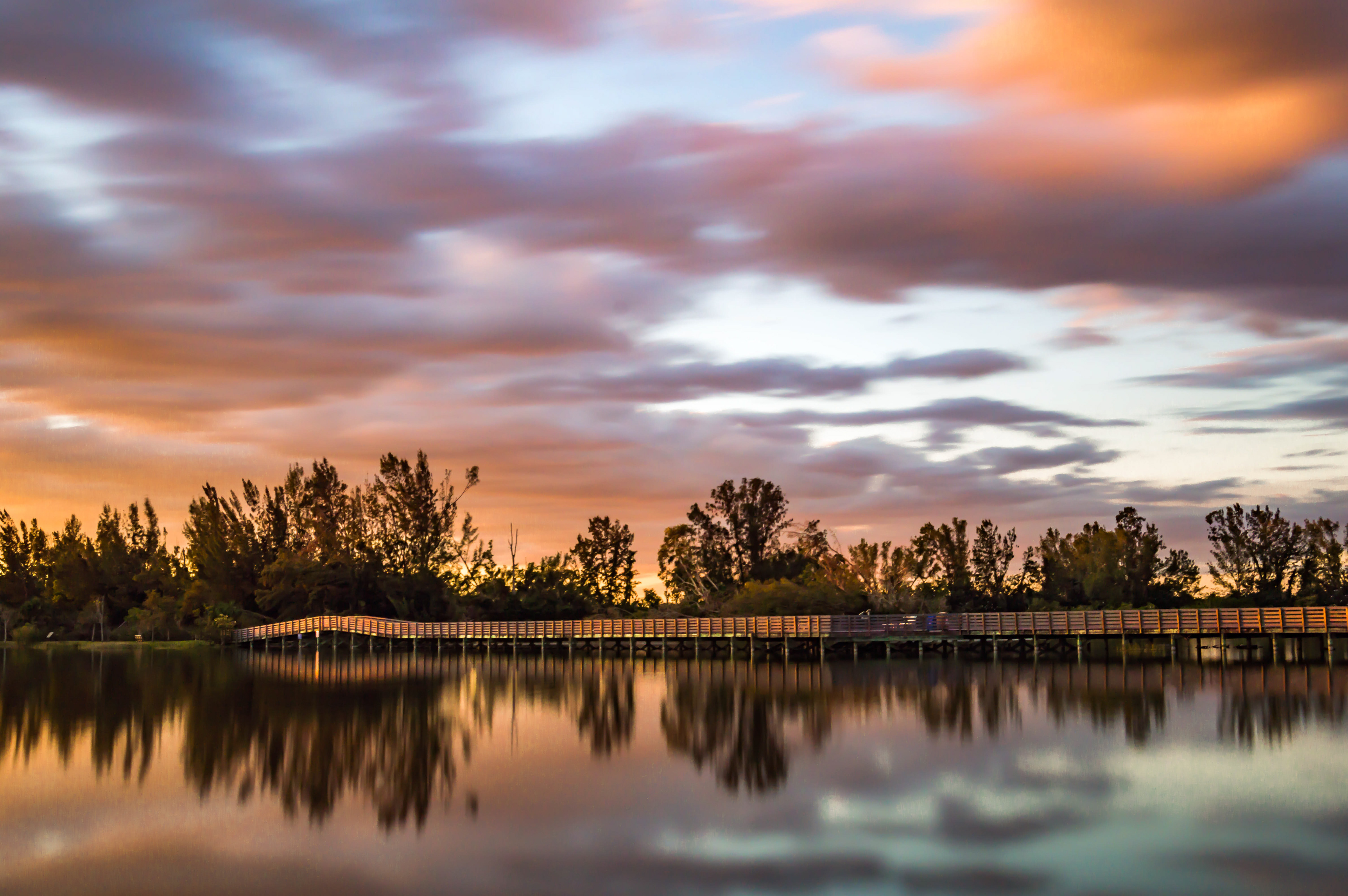 Lakes Park, Fort Myers, Florida
