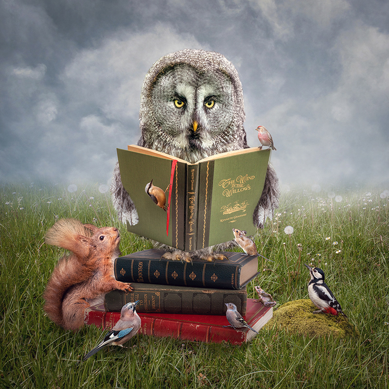 Story Time
