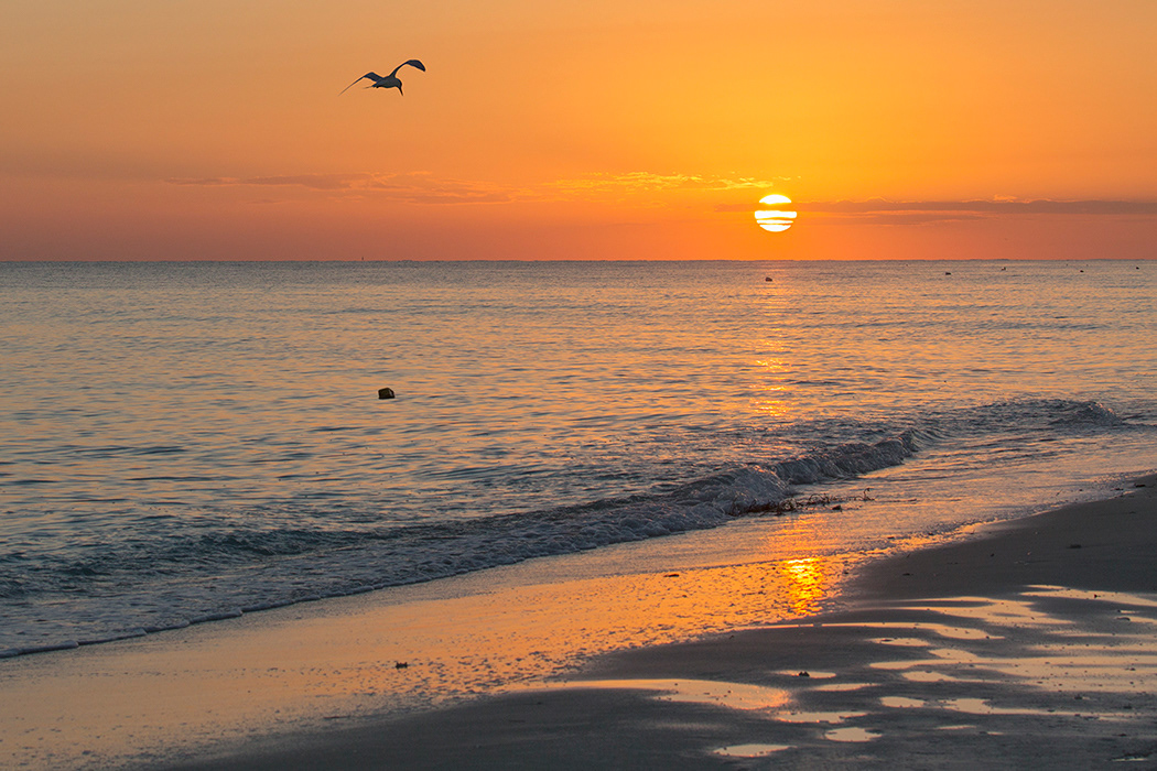 Cayo Coco Sunrise