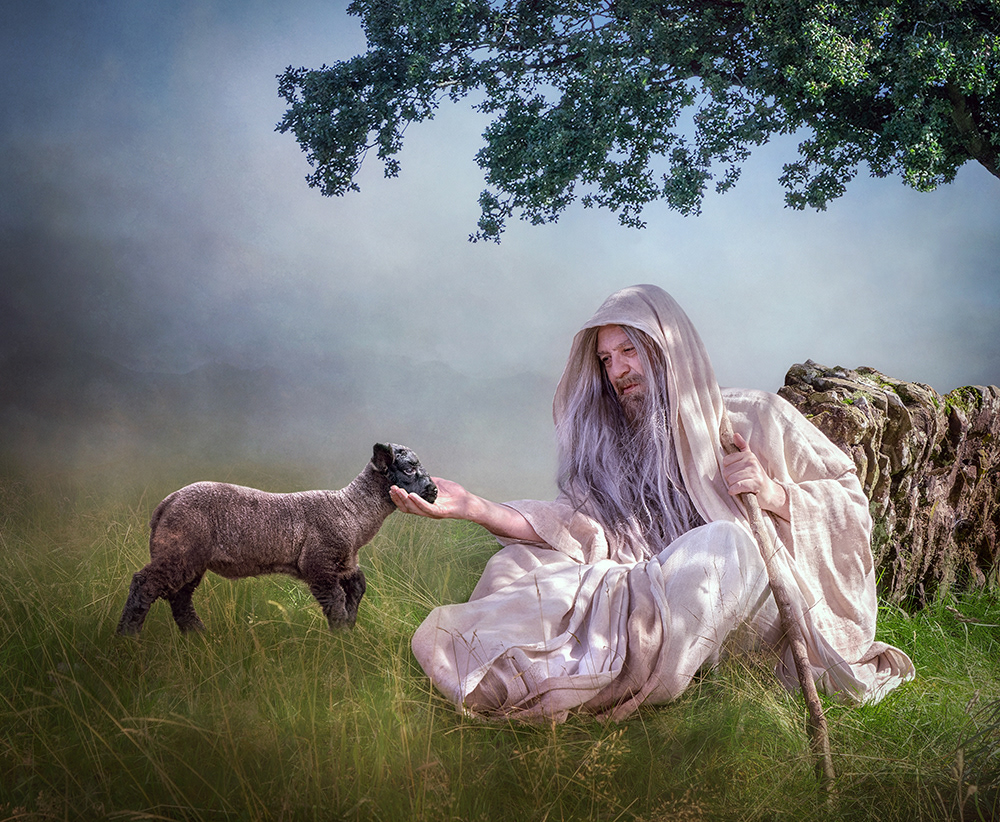 The Shepherd