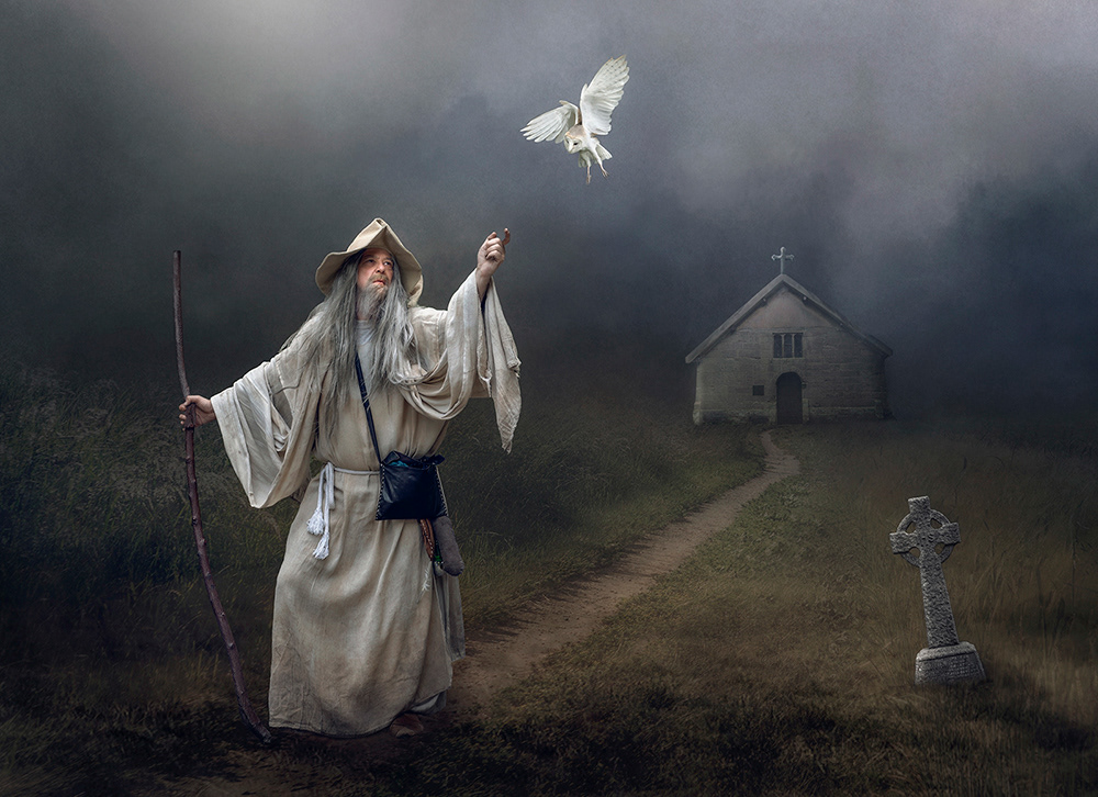 Journey With An Owl