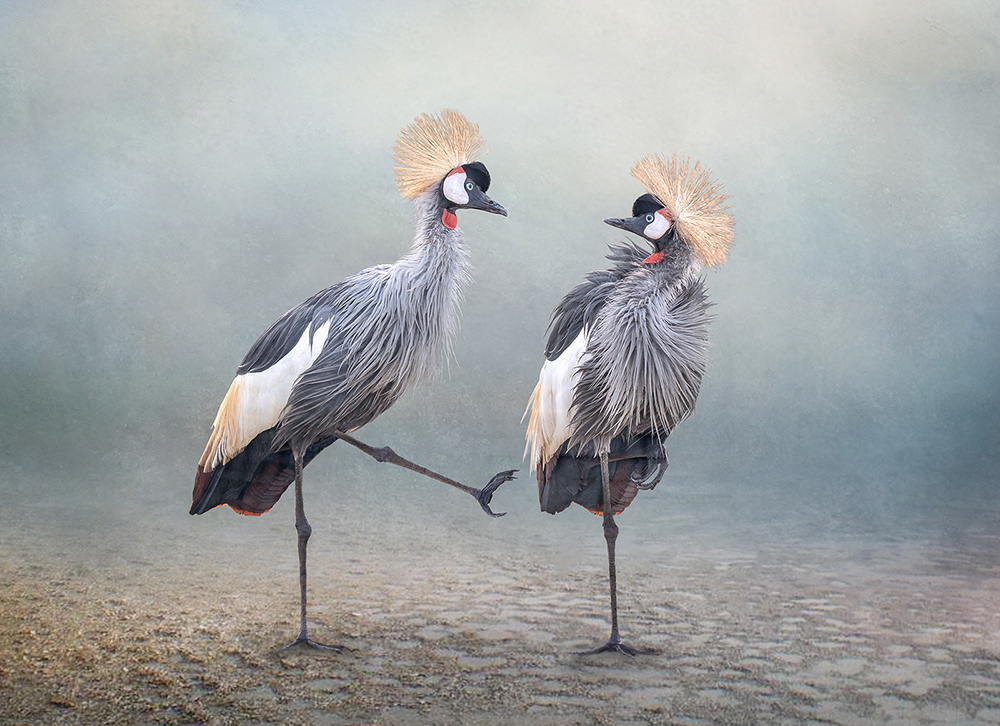 No Way To Treat a Lady