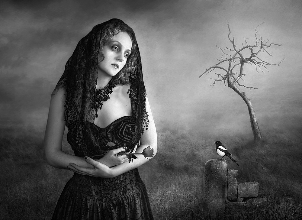 One For Sorrow
