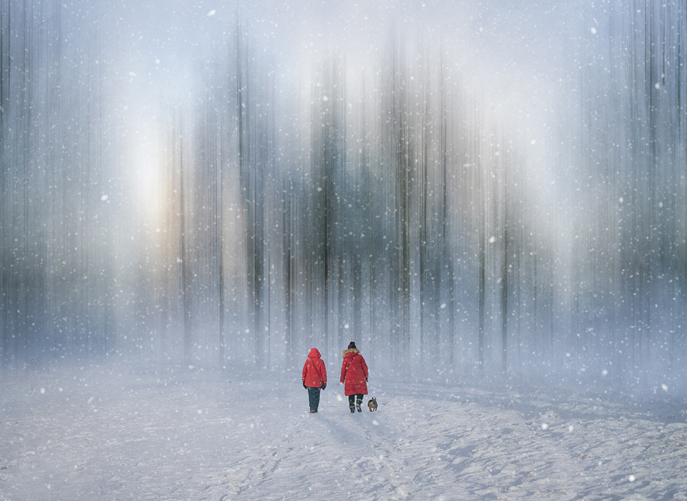 A Winter Walk